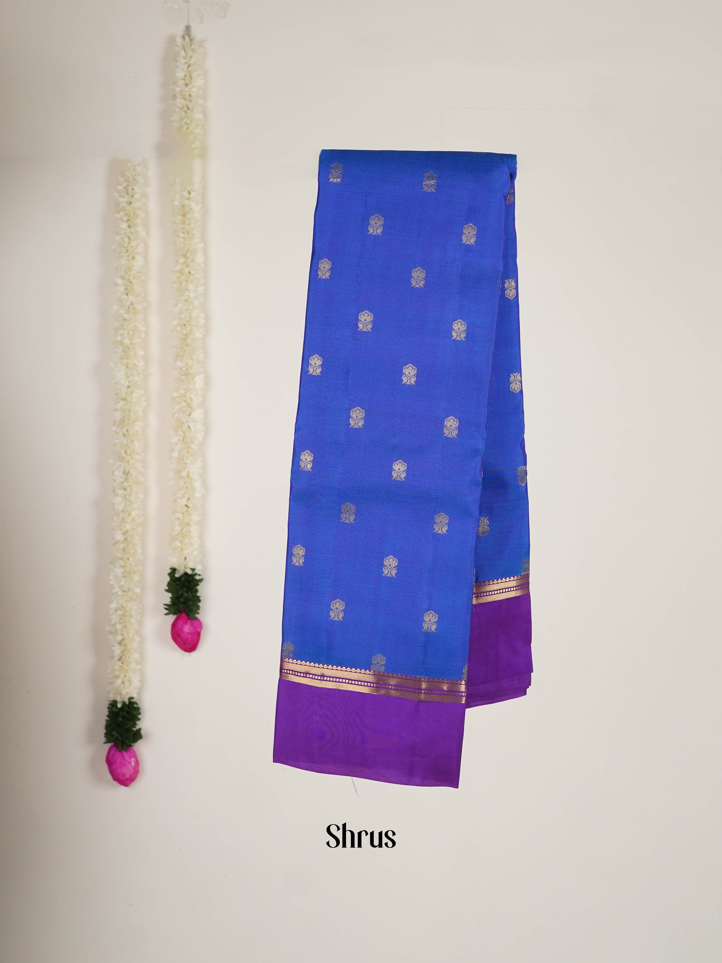 Blue & Purple - Kanchipuram silk saree