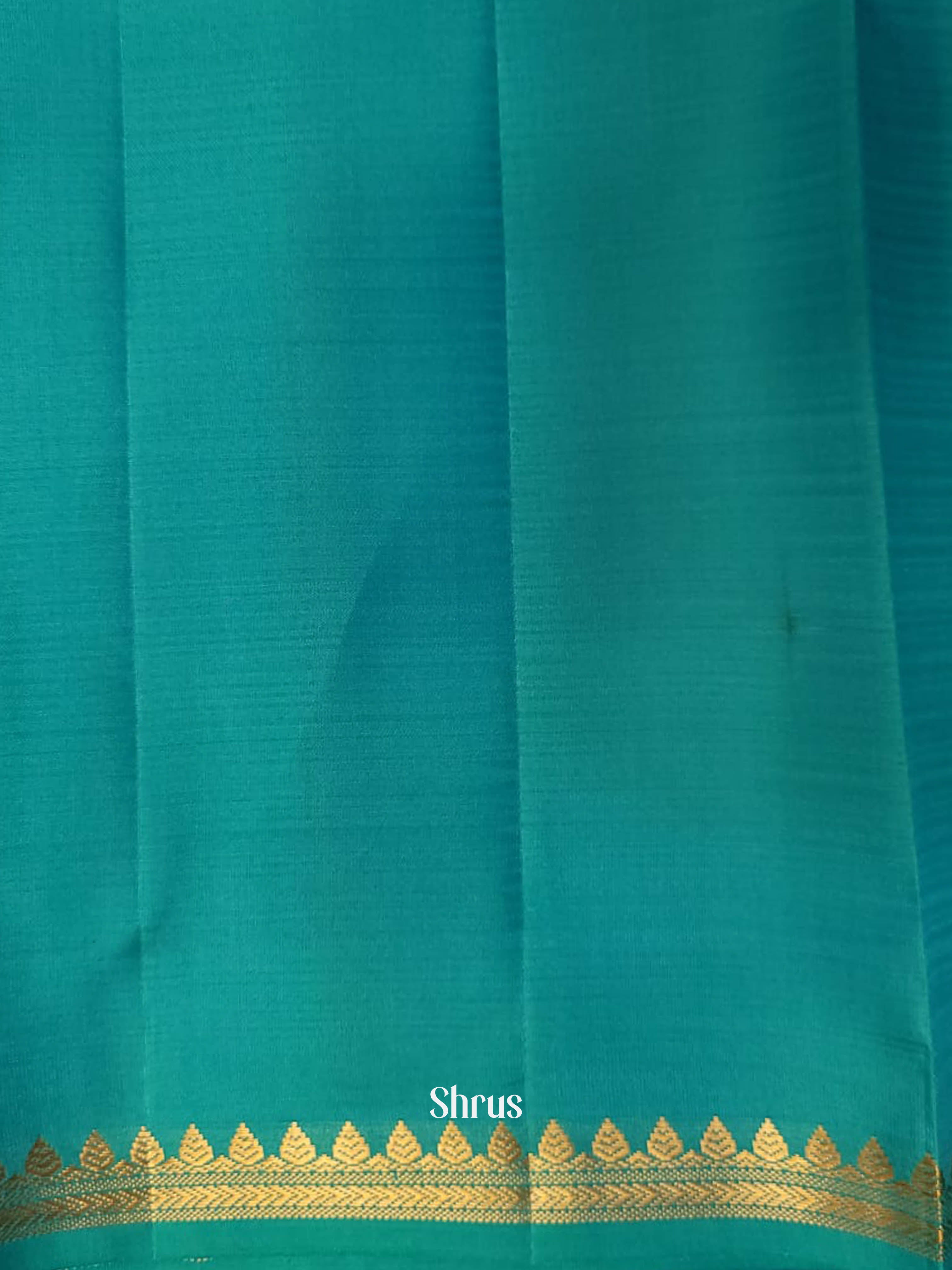 Pink & Blue - Kanchipuram silk Saree