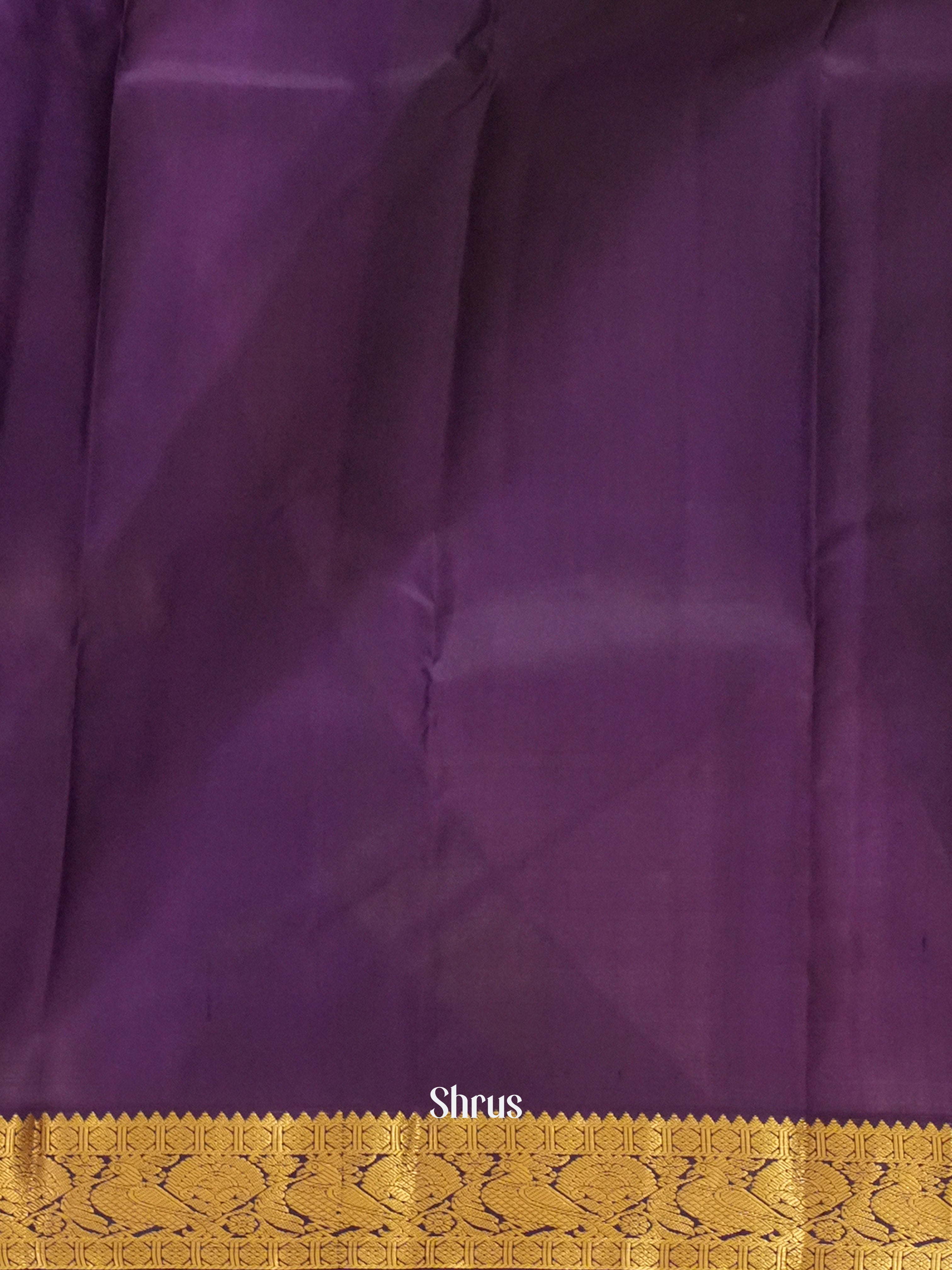 CGS15474 - Kanchipuram silk