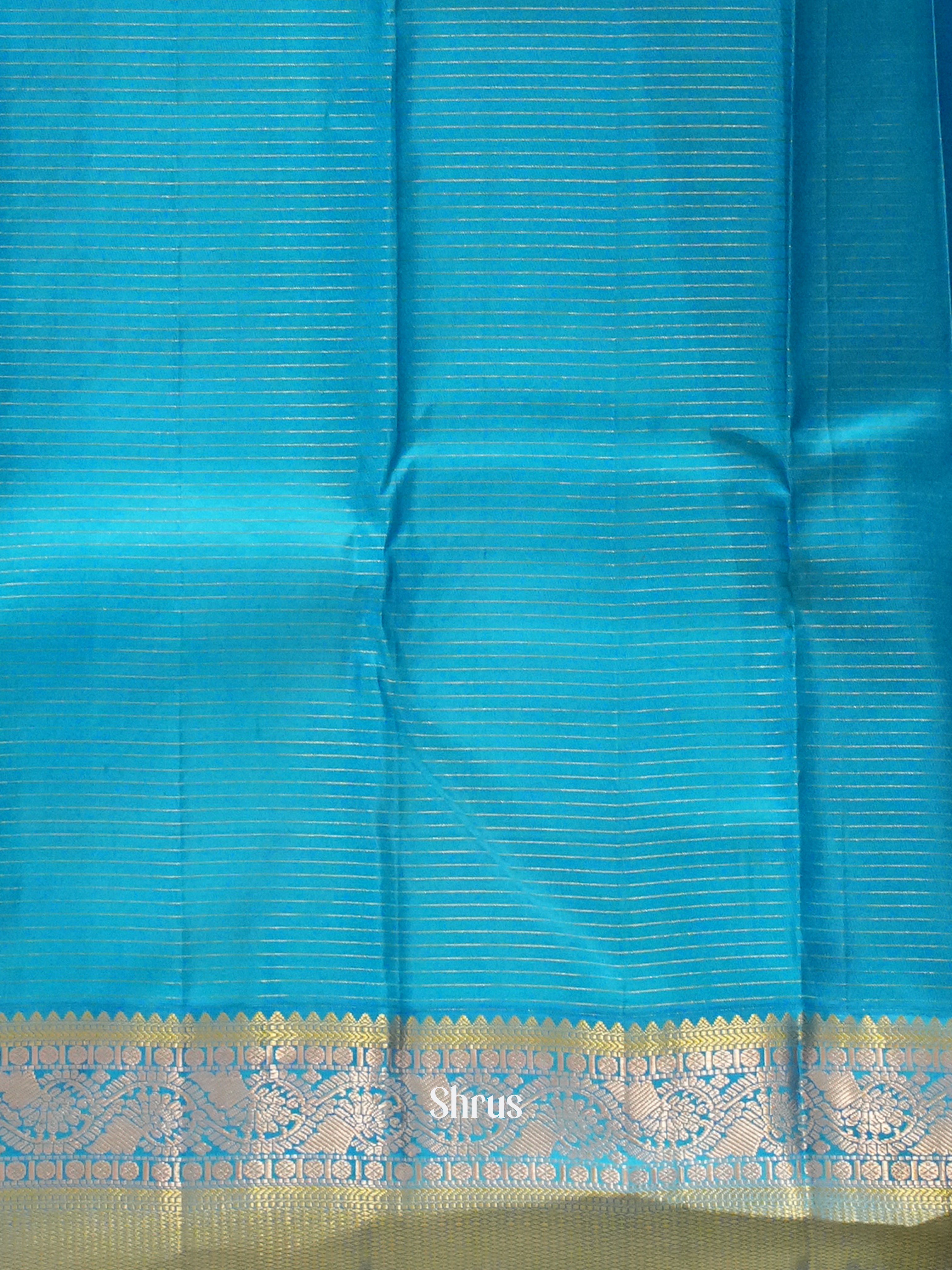 Beige & Blue - Kanchipuram silk Saree