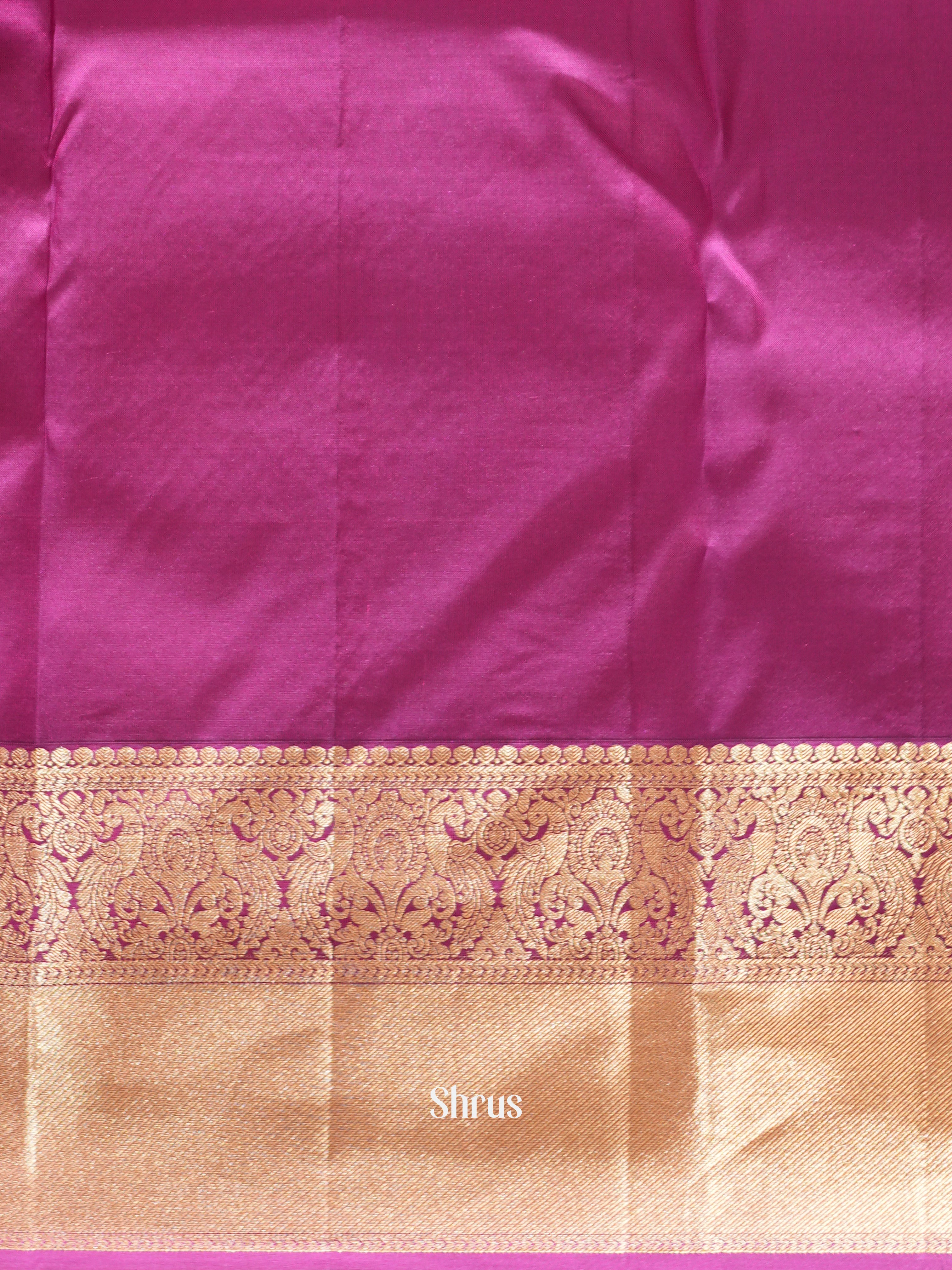 CGS15502 - Kanchipuram silk Saree