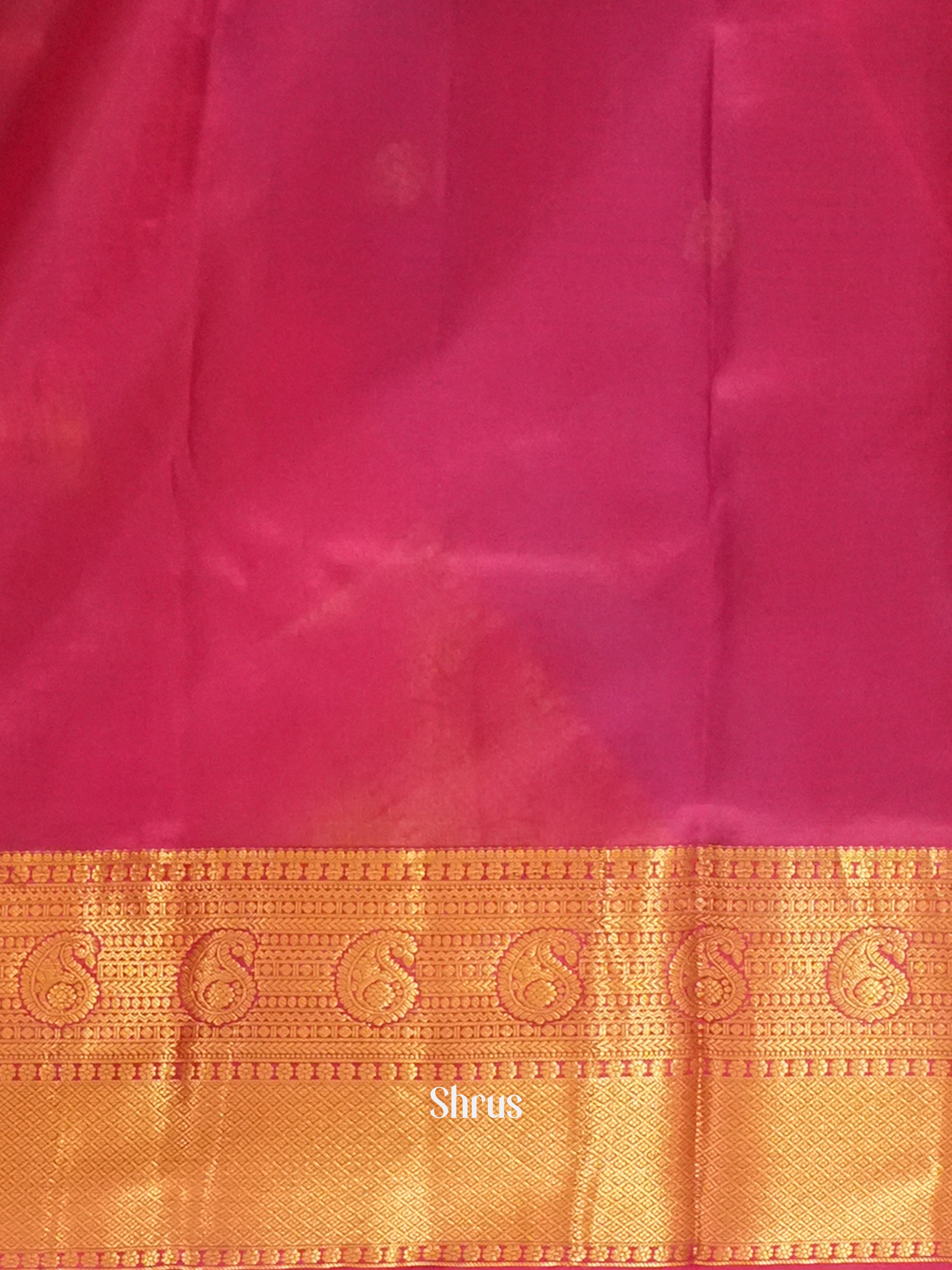 CGS15528 - Kanchipuram silk