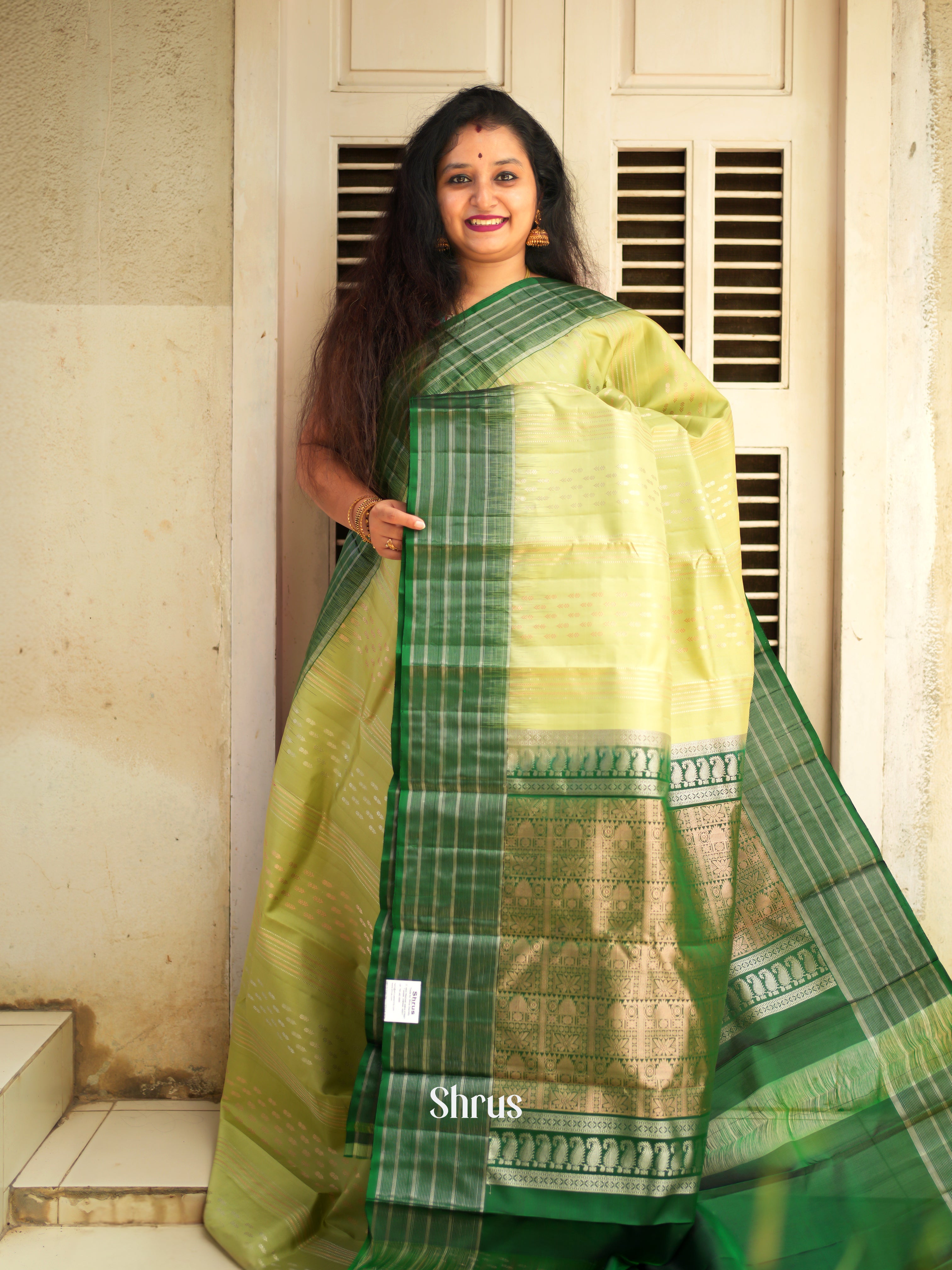 Light Green & Green  - Soft Silk Saree