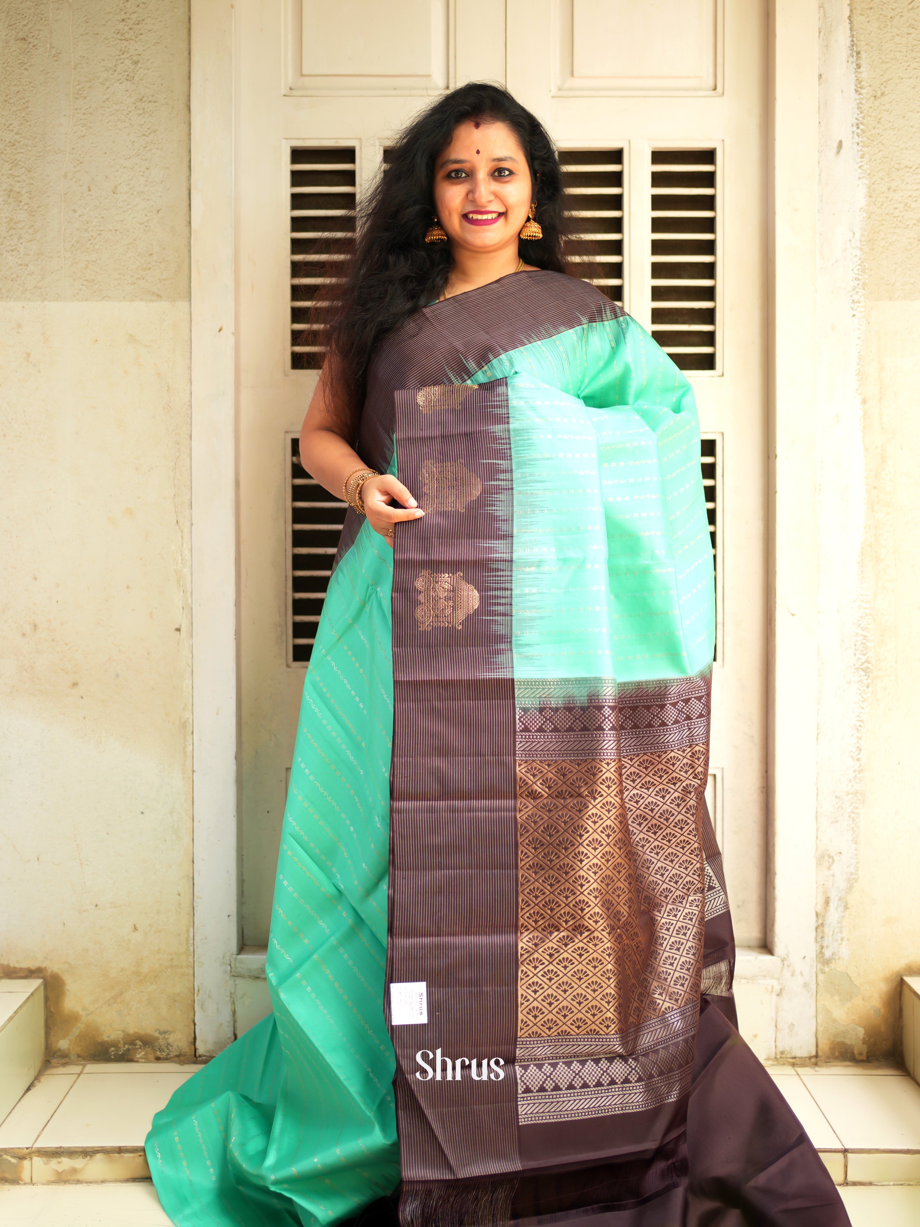 Teal Green & Brown - Soft Silk Saree