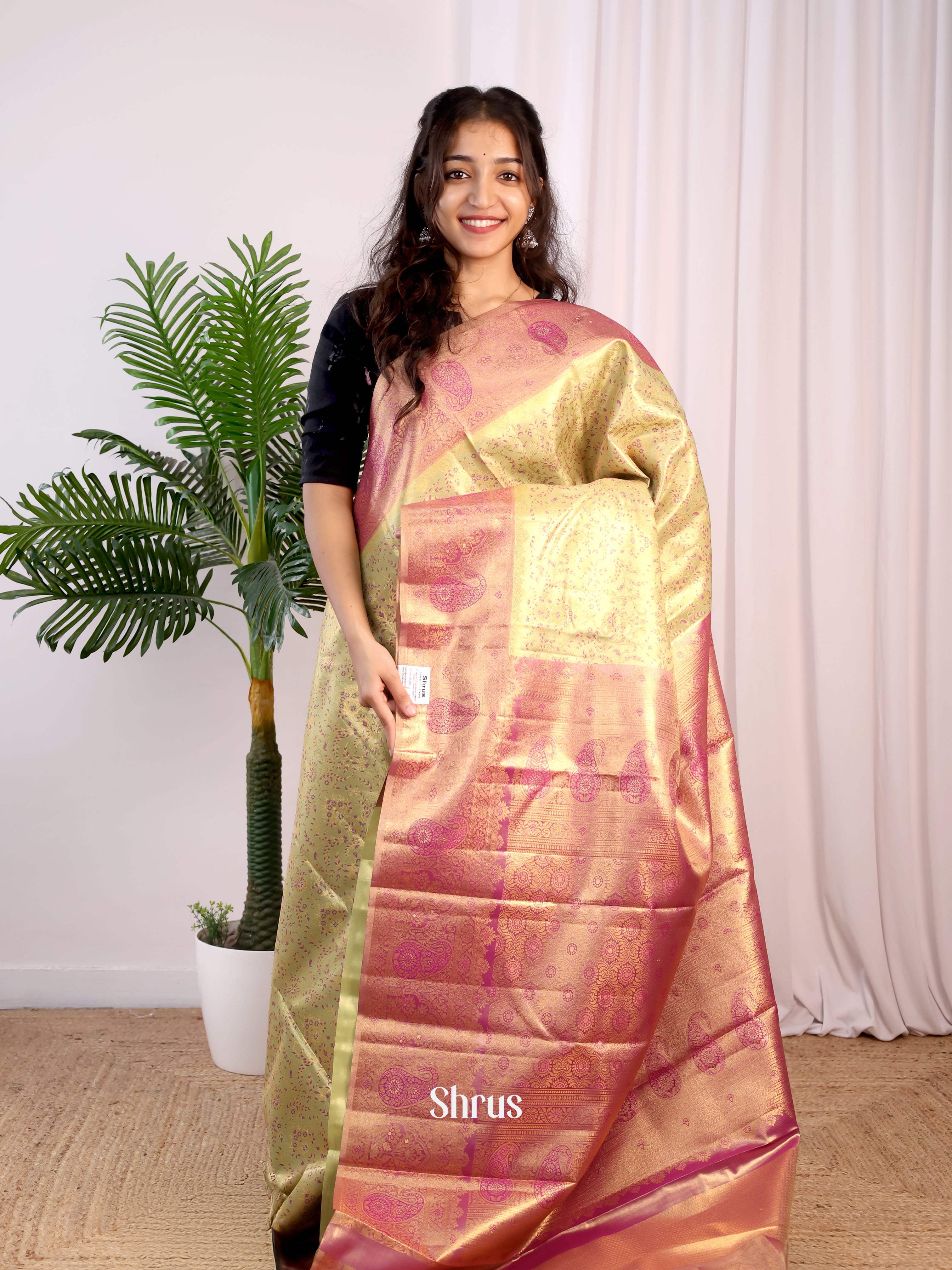 CGS17201 - Kanchipuram-halfpure Saree