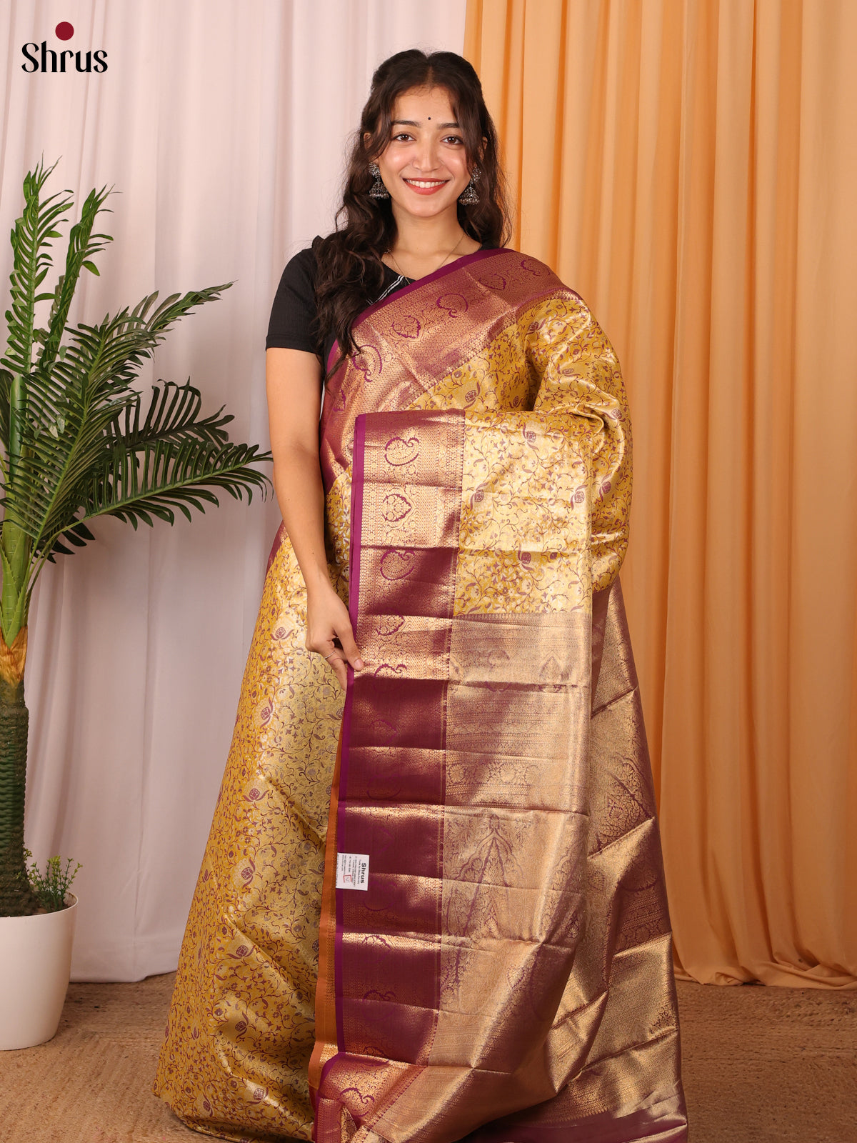 CGS17240 - Kanchipuram-halfpure Saree