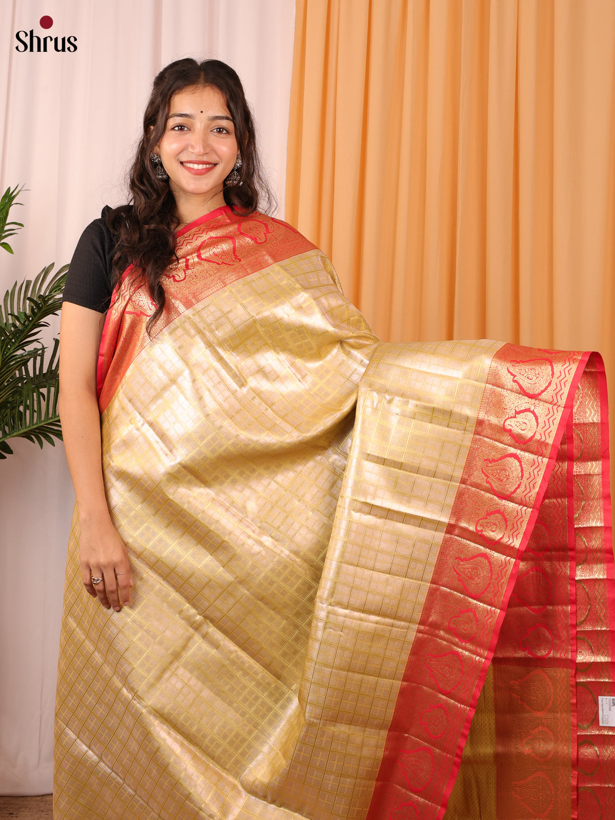 Gold & Red - Kanchipuram-halfpure Saree