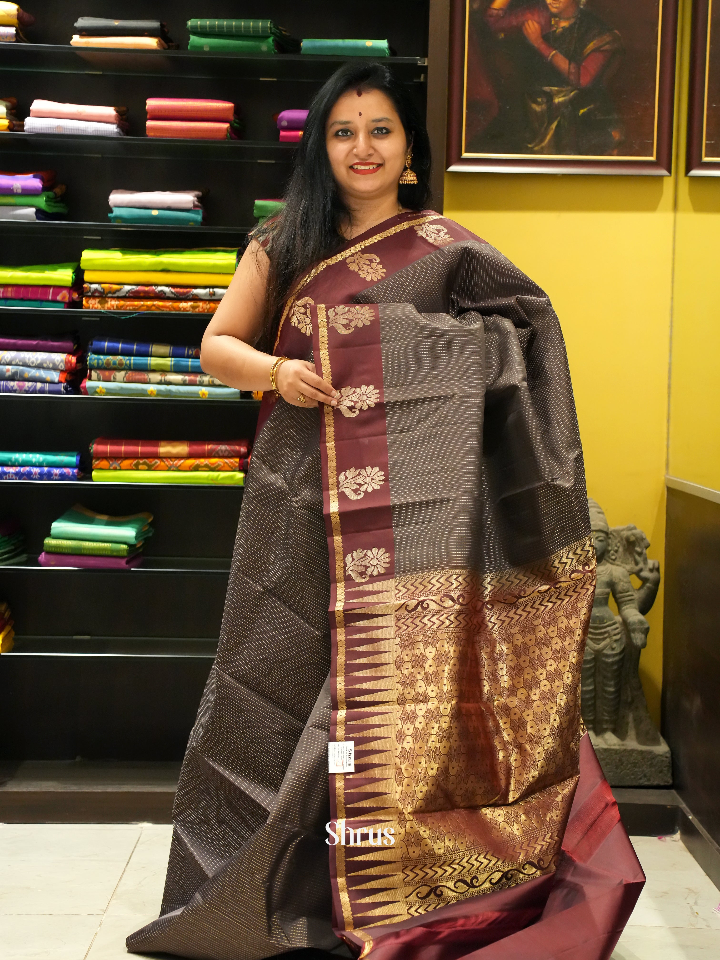 Black & Brown  - Kanchipuram silk Saree