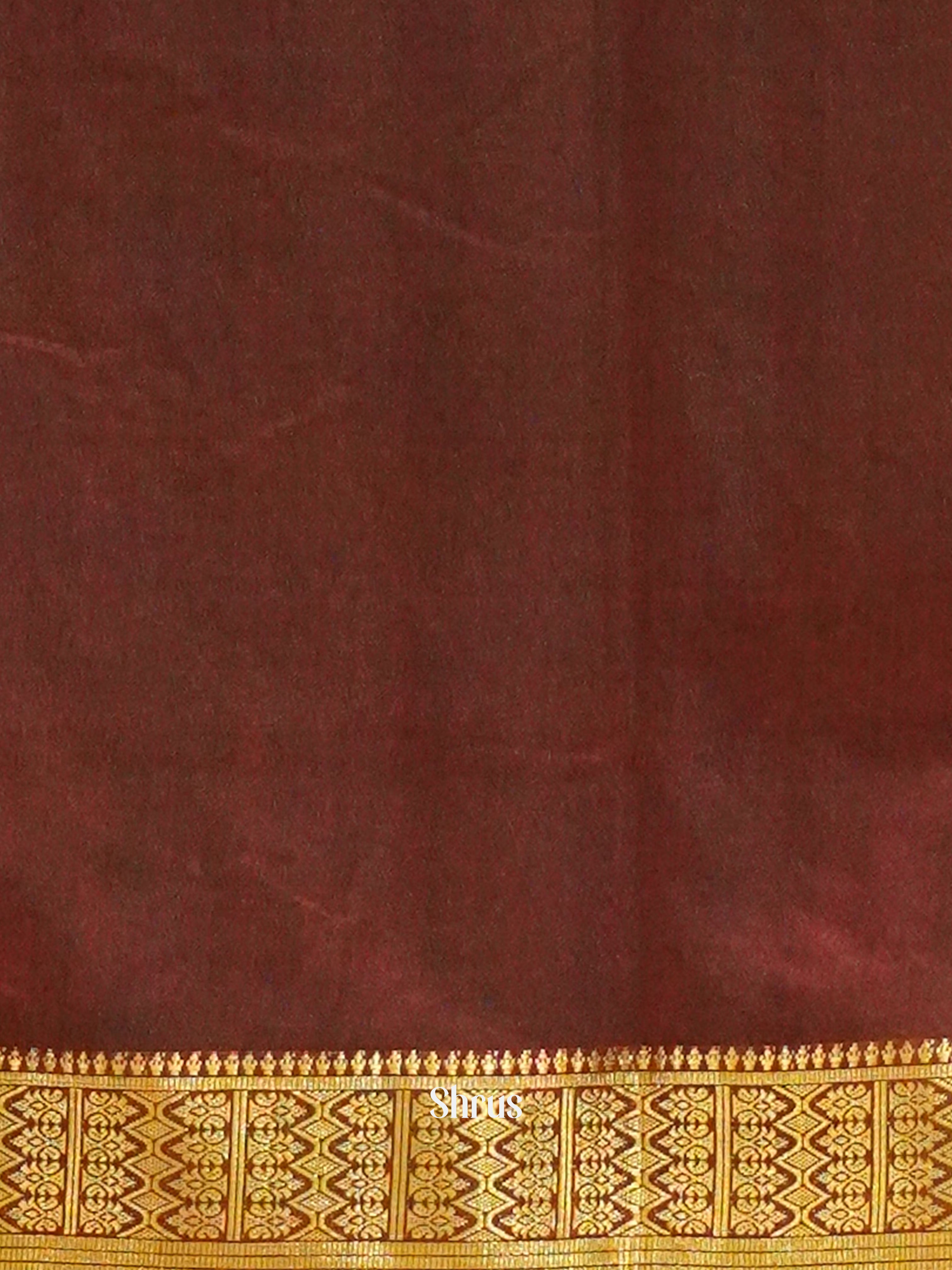 Black & Brown - Semi Patola Saree