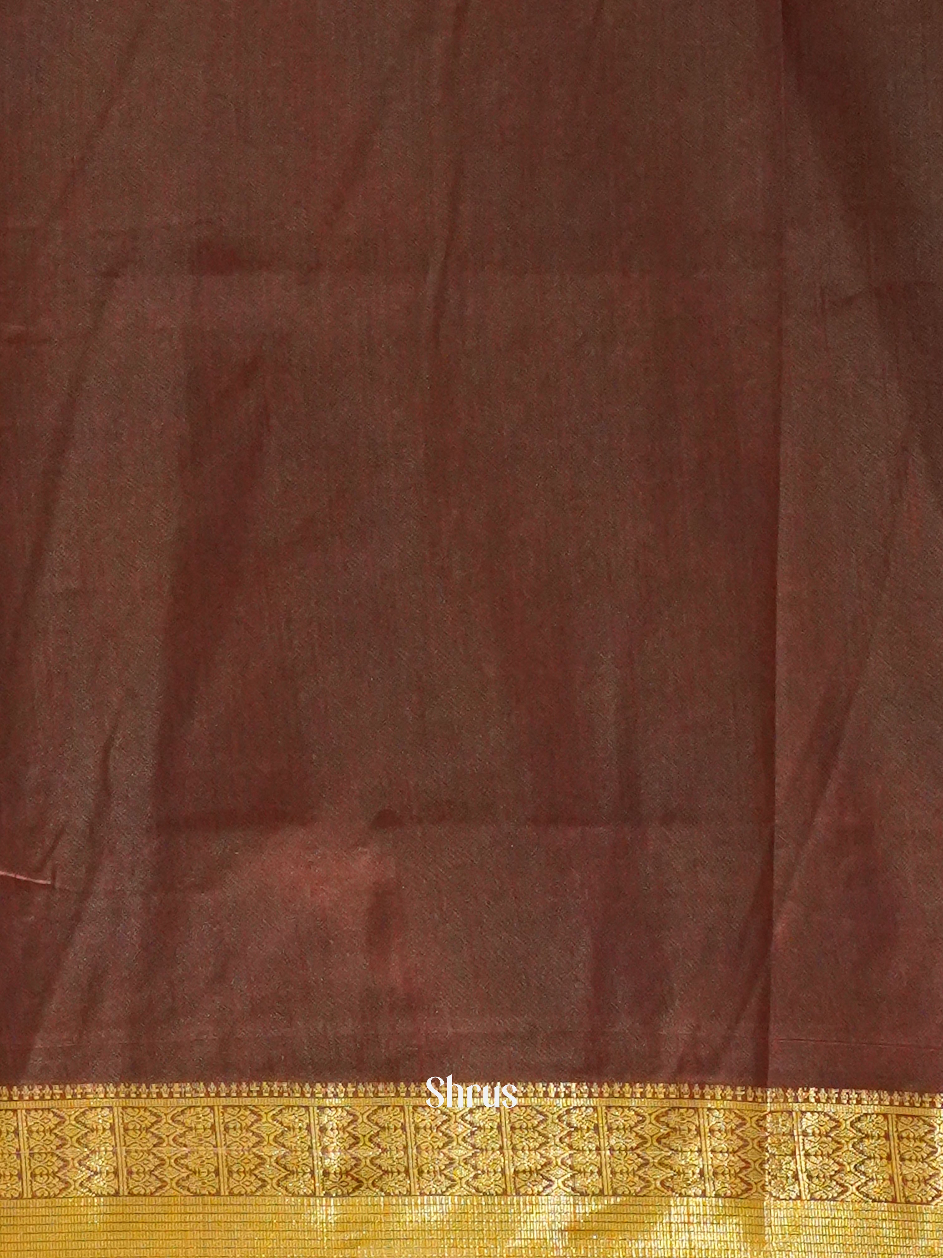 Green & Brown - Semi Patola Saree