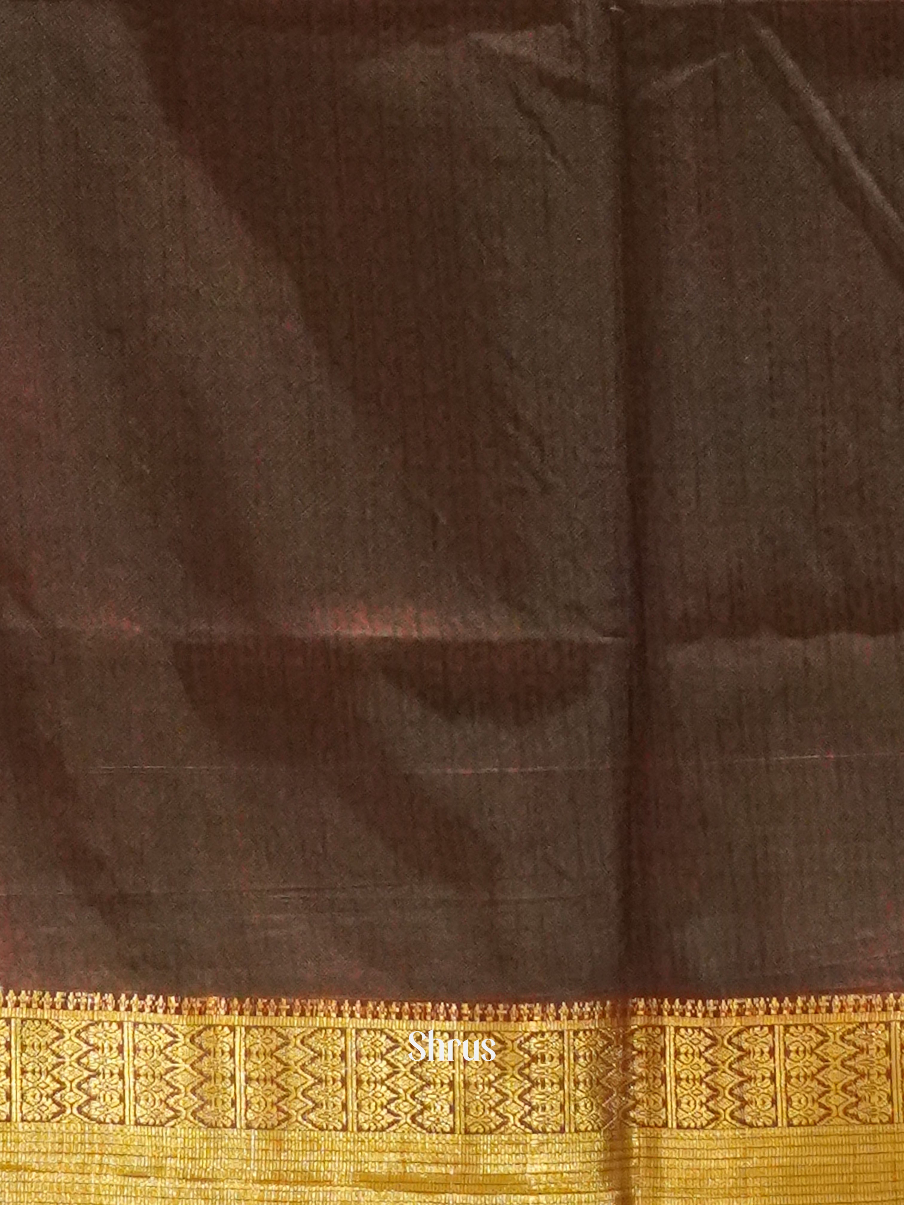 Green & Brown - Semi Patola Saree