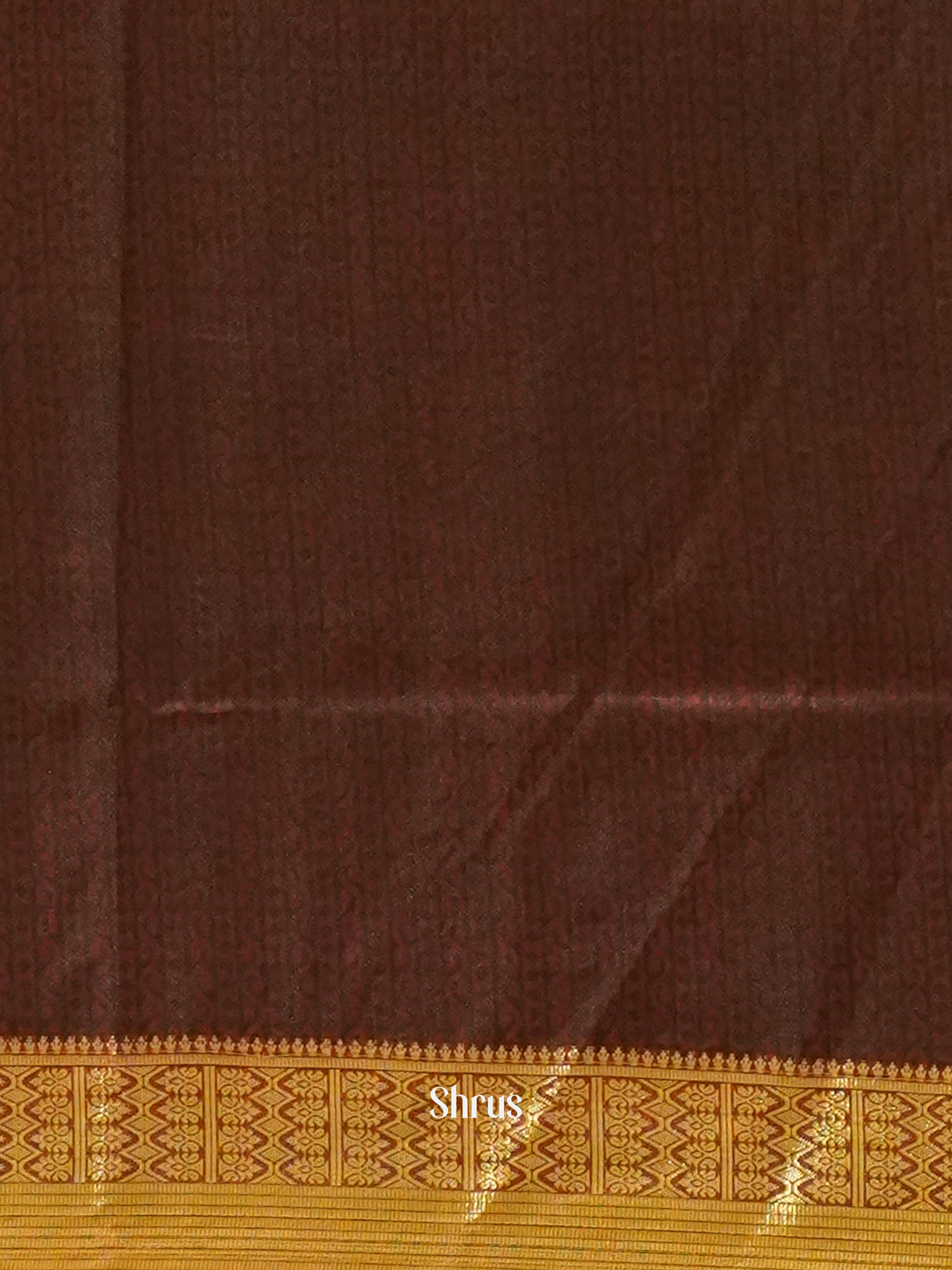 Black & Brown - Semi Patola Saree