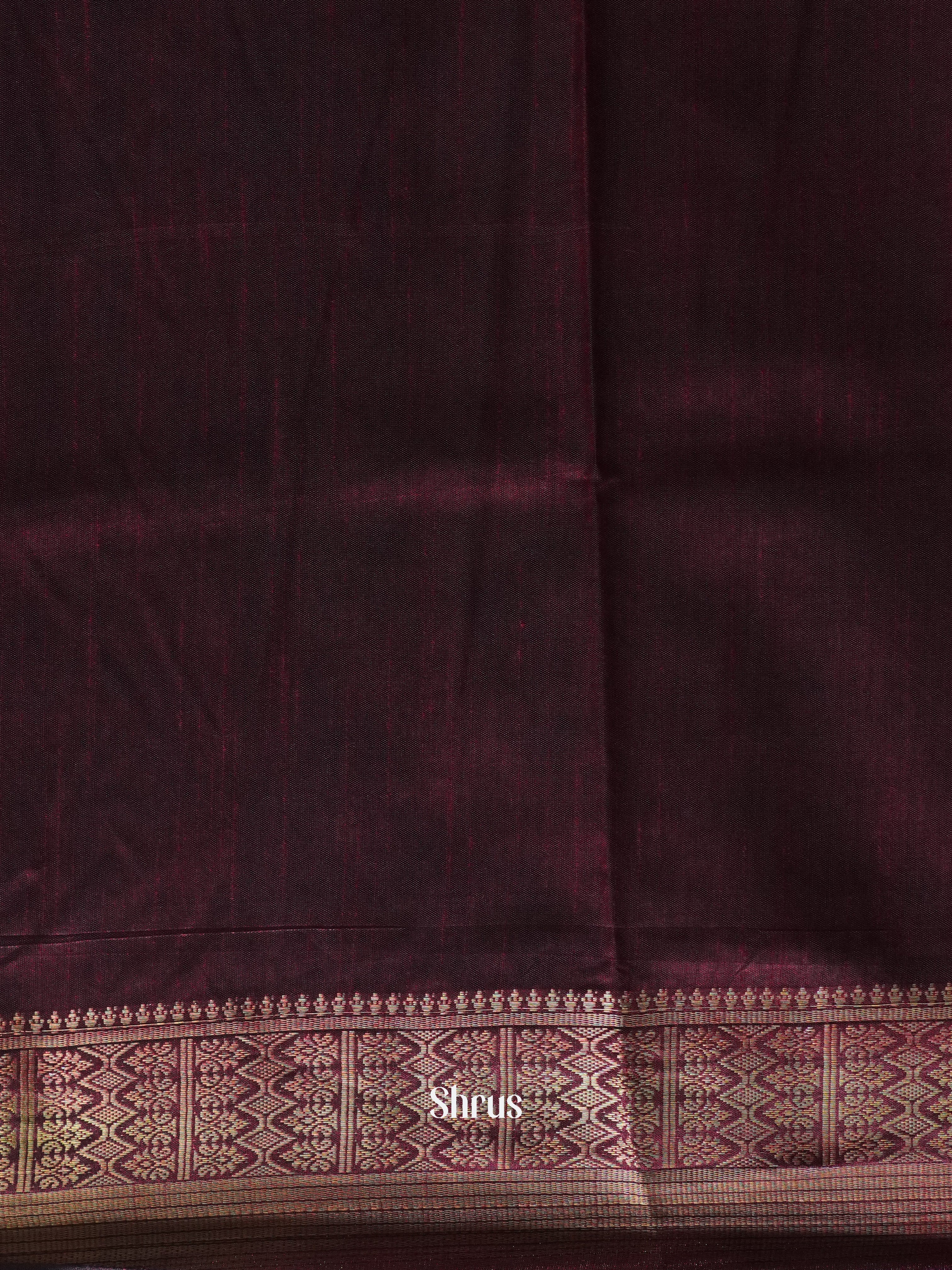 Black & Brown - Semi Patola Saree