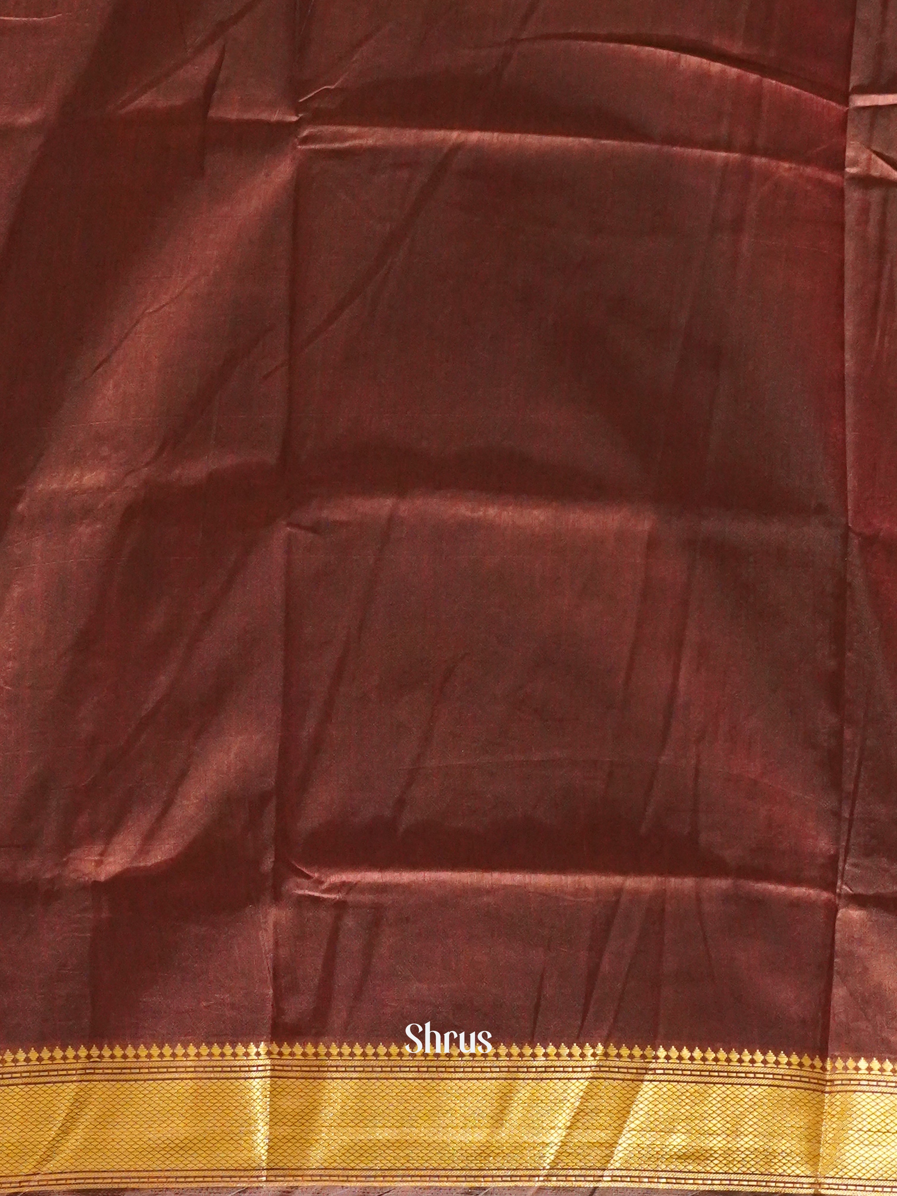 Black & Brown - Semi Patola Saree