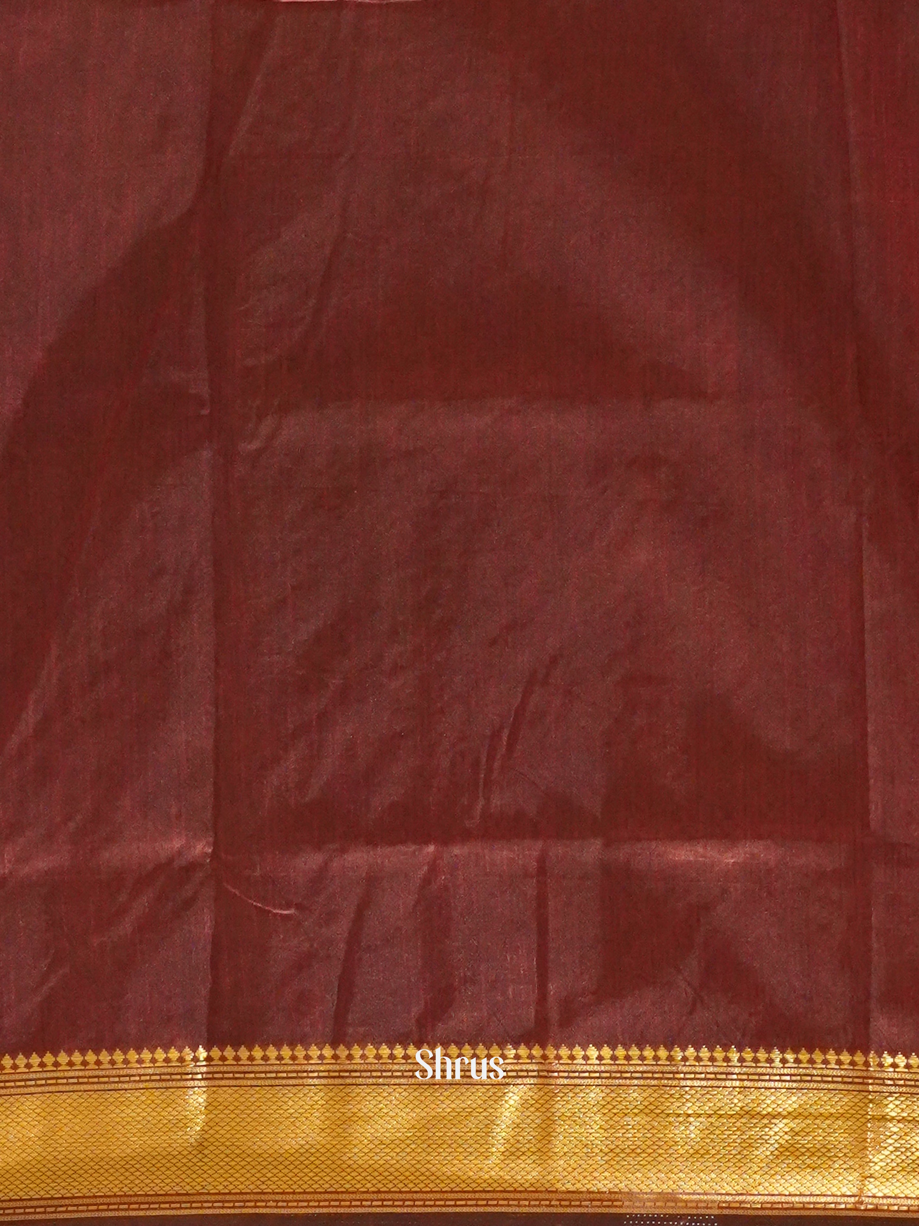 Black & Brown - Semi Patola Saree