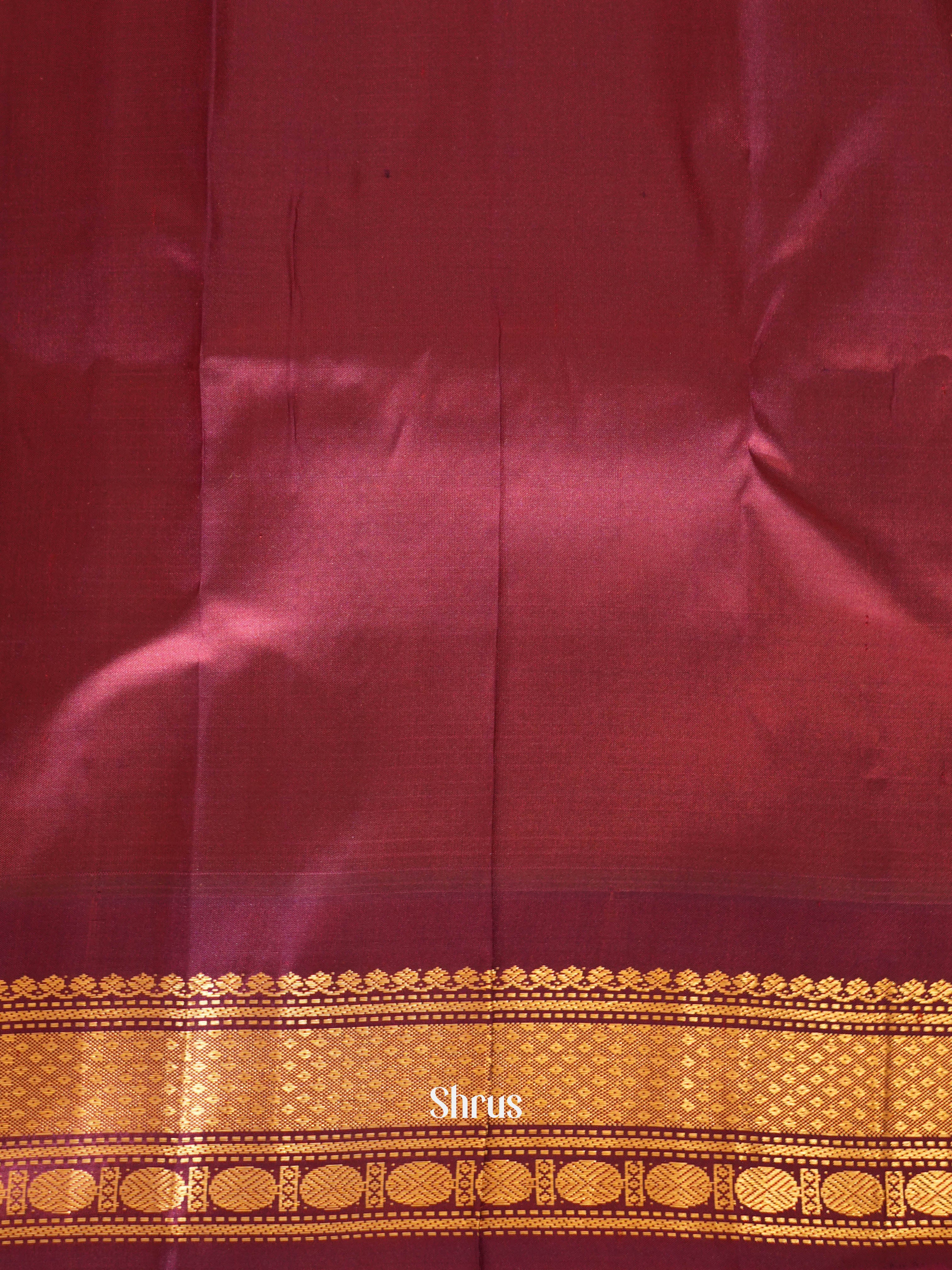 Cream & Brown - Gadwal Silk Saree