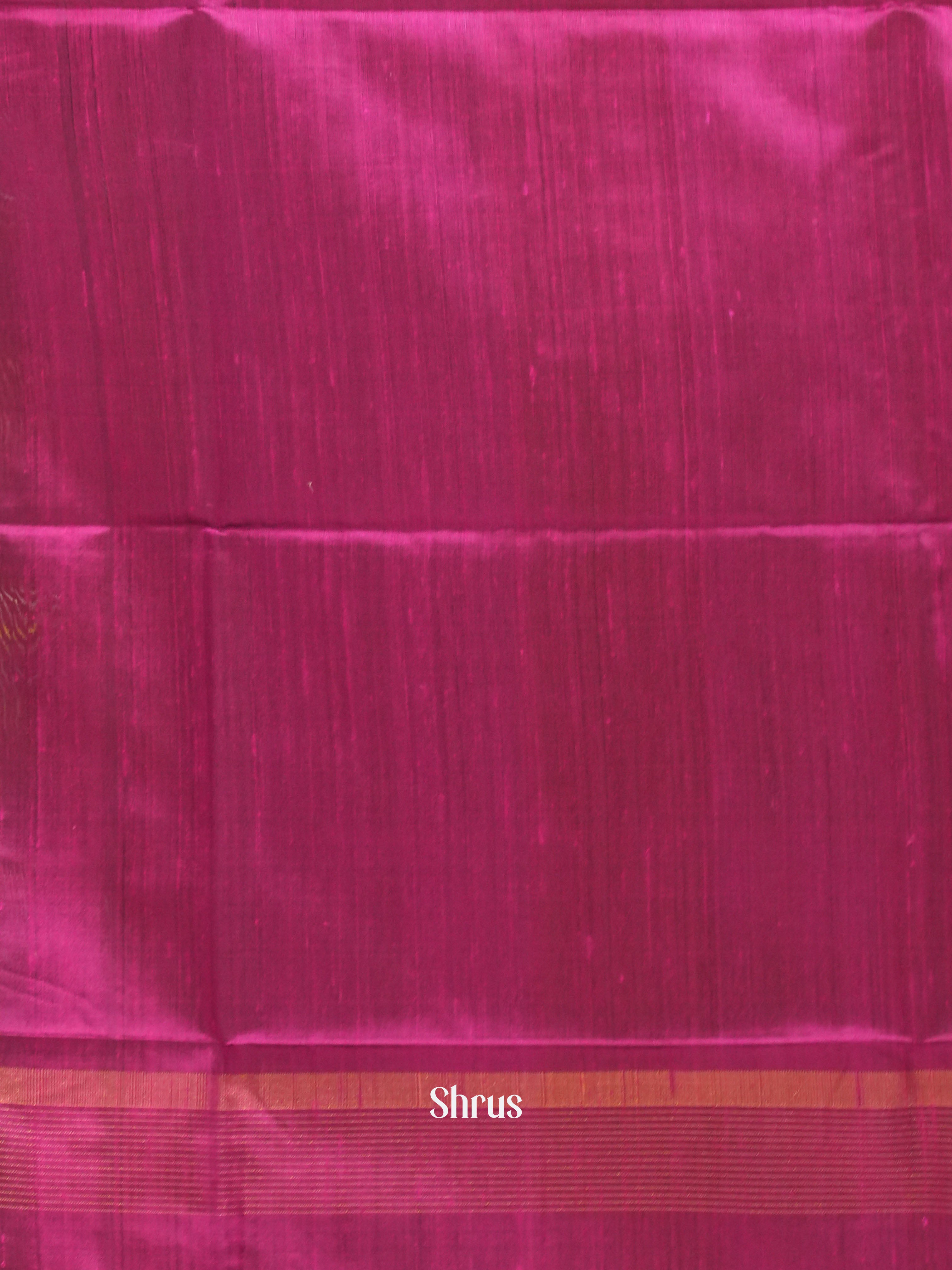 CGS27127 - Raw silk saree