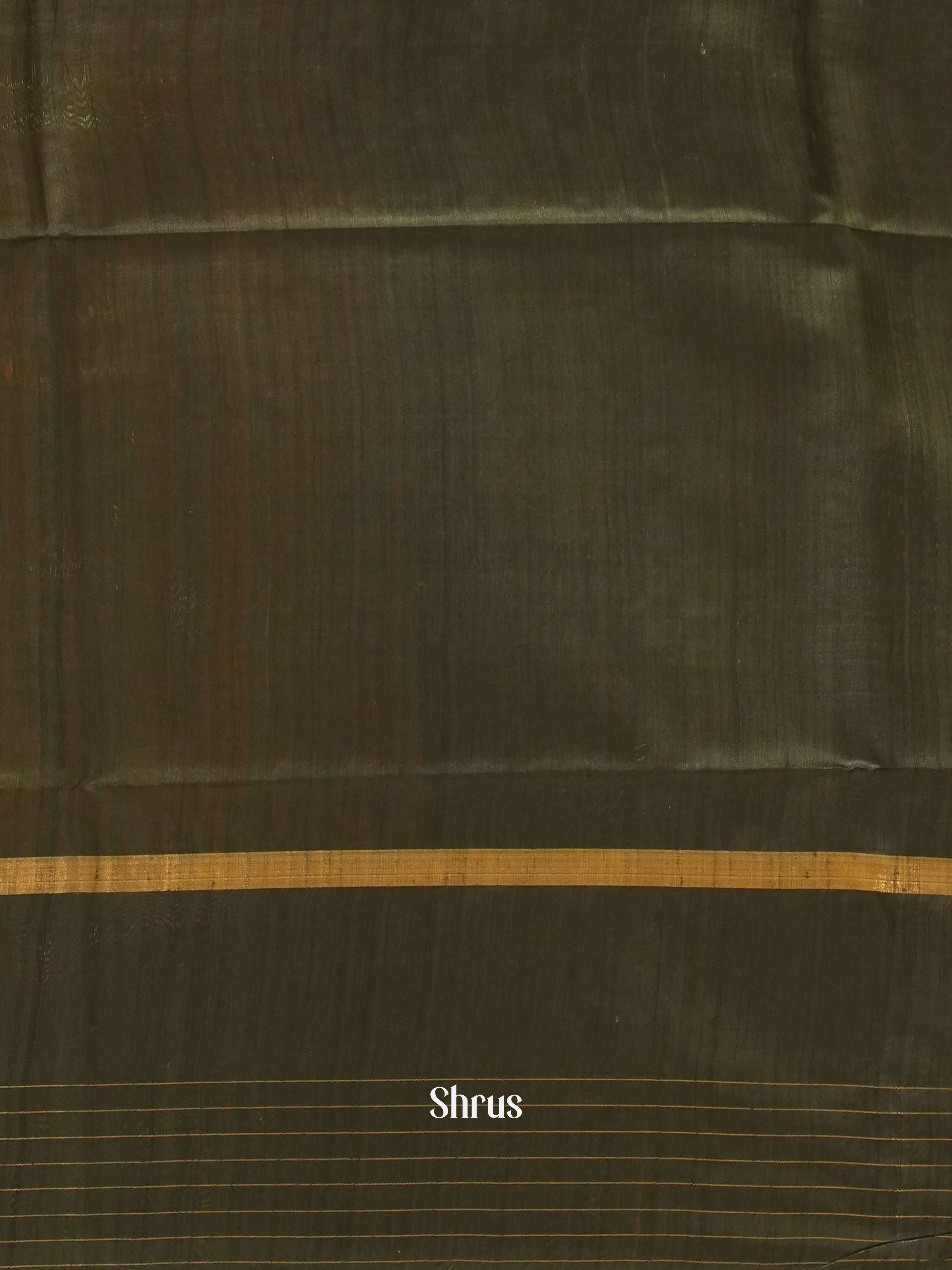 CGS27155 - Raw silk saree