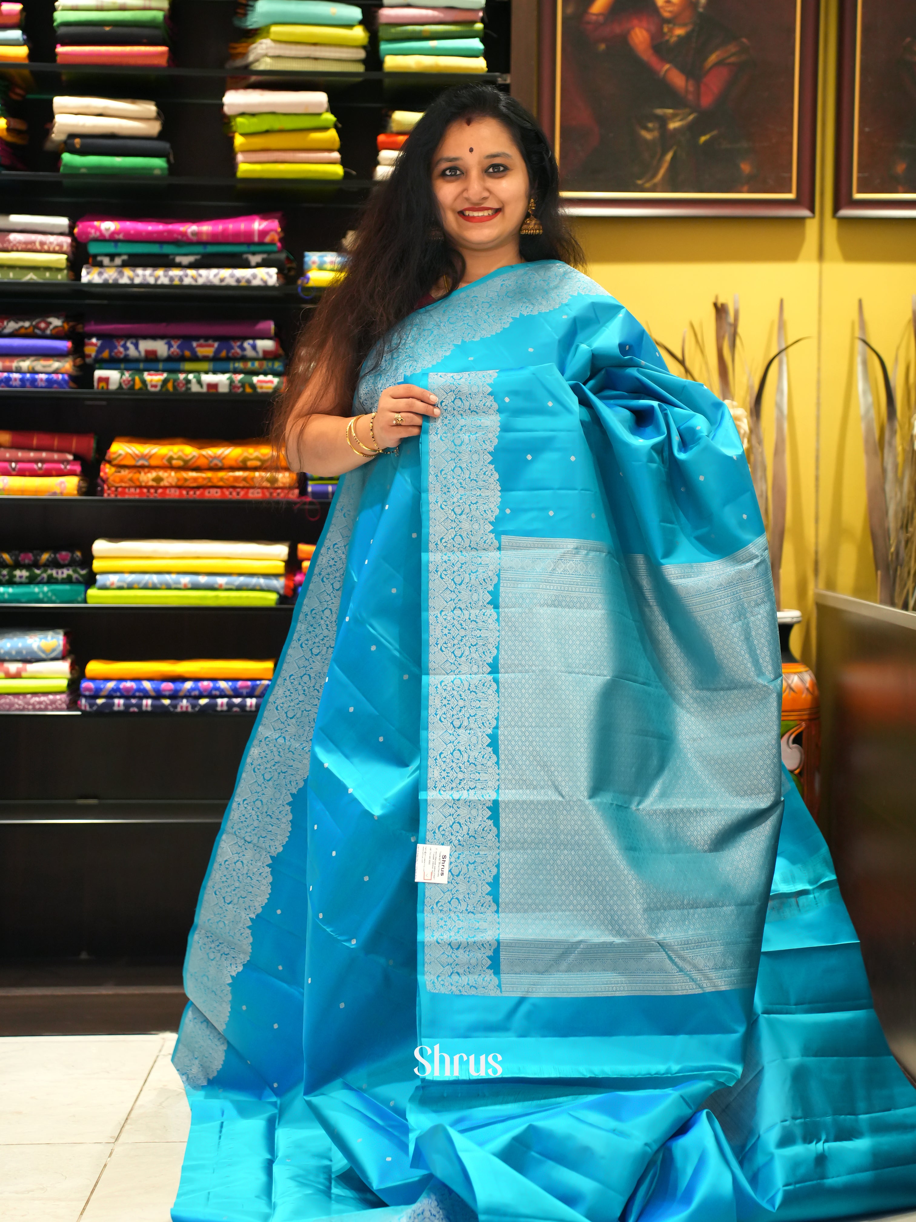 Blue(Single Tone) -Kanchipuram silk saree