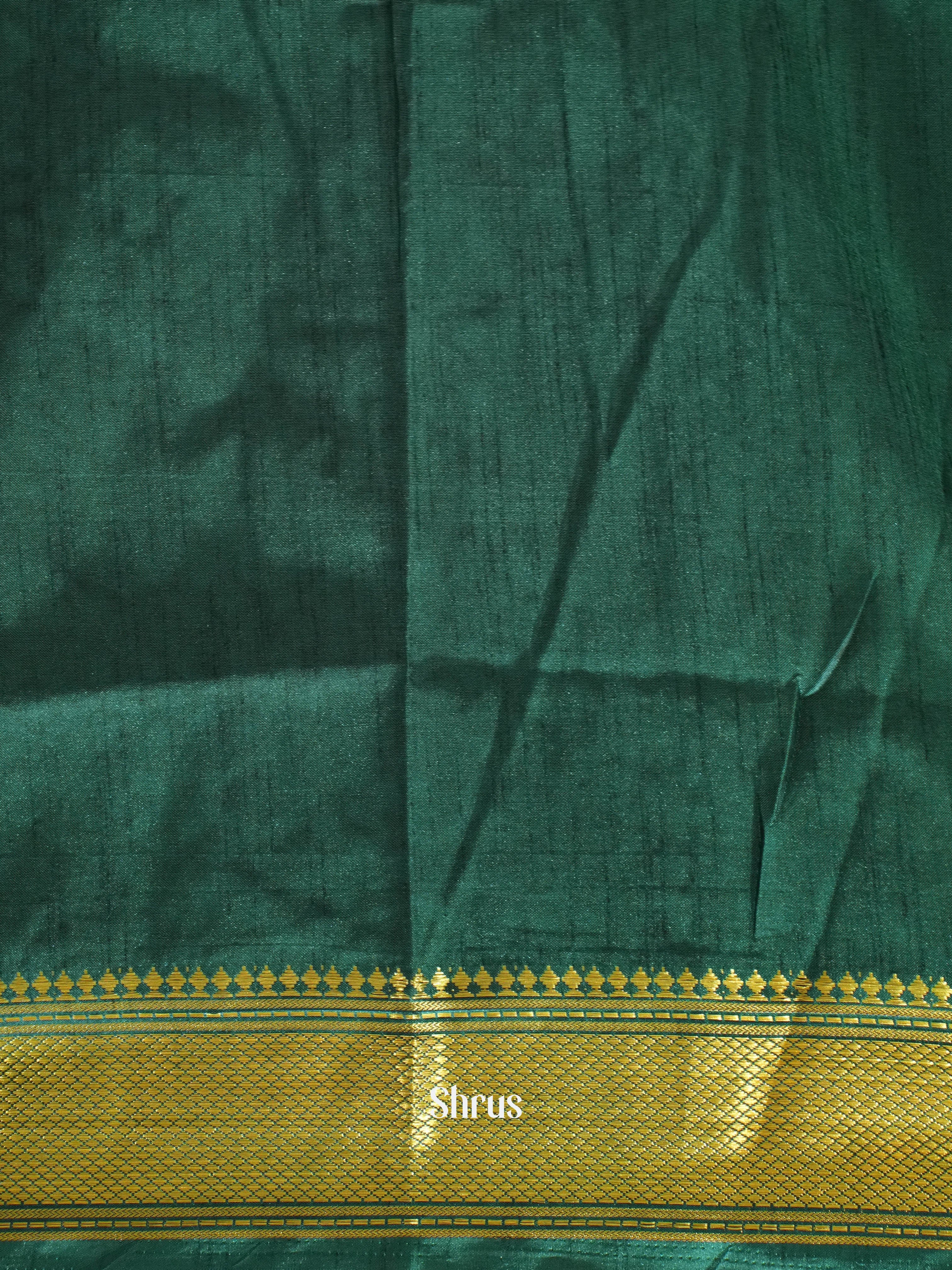 Blue & Green - Semi Patola Saree