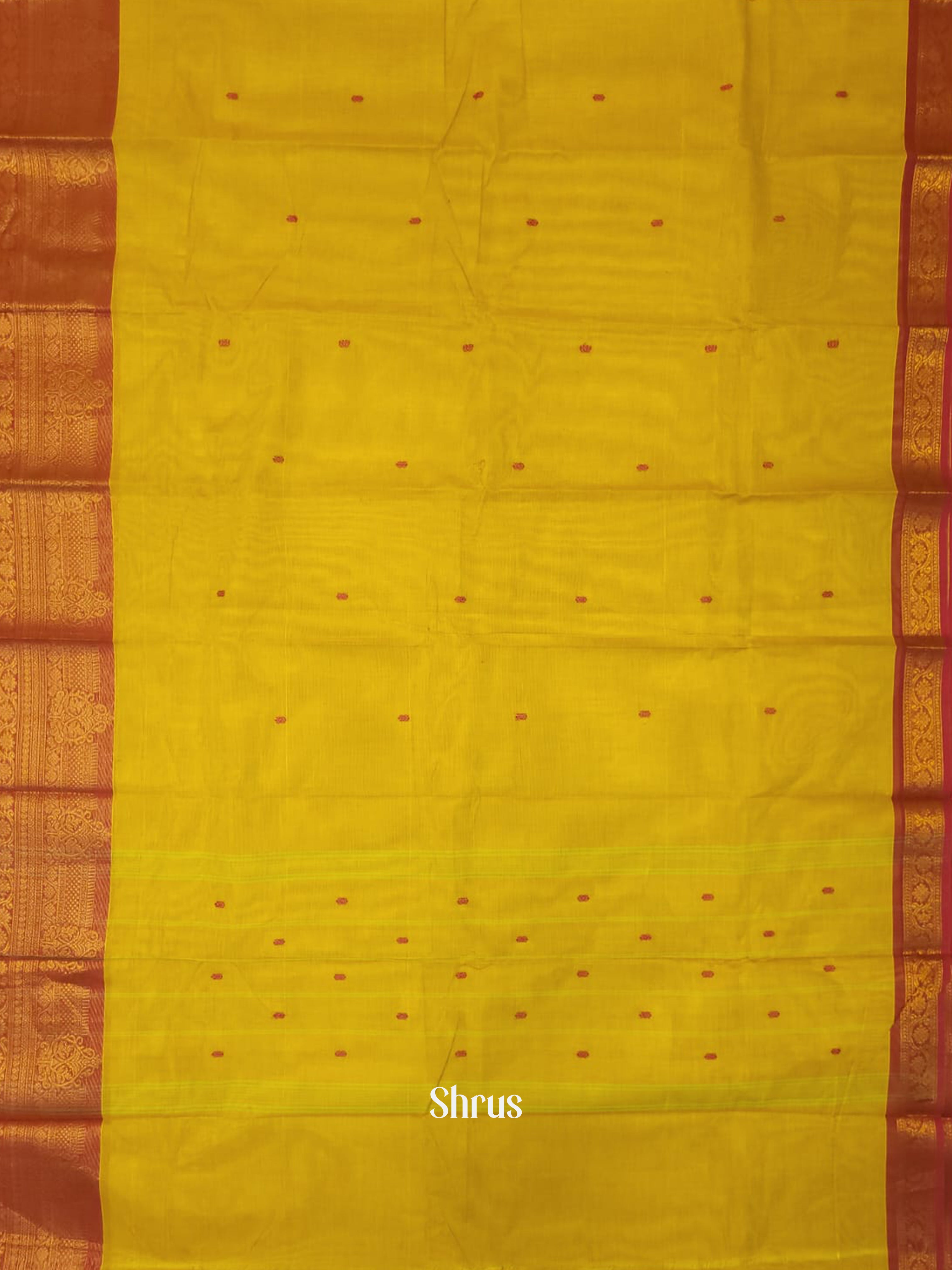 Green & Pink - Chettinad Cotton Saree