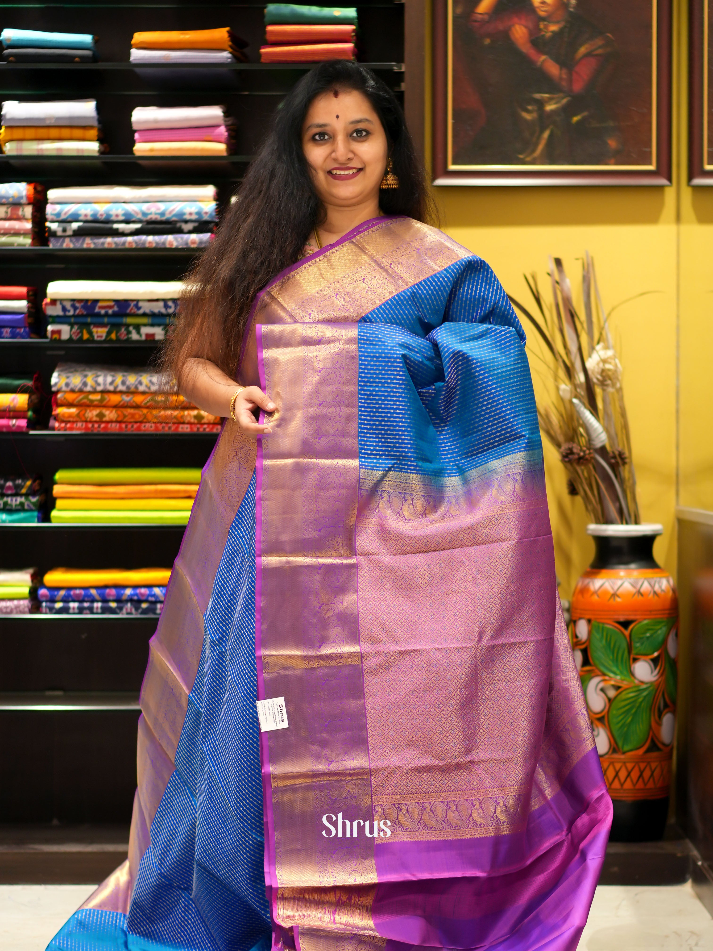 Blue & Purple - Kanchipuram silk saree