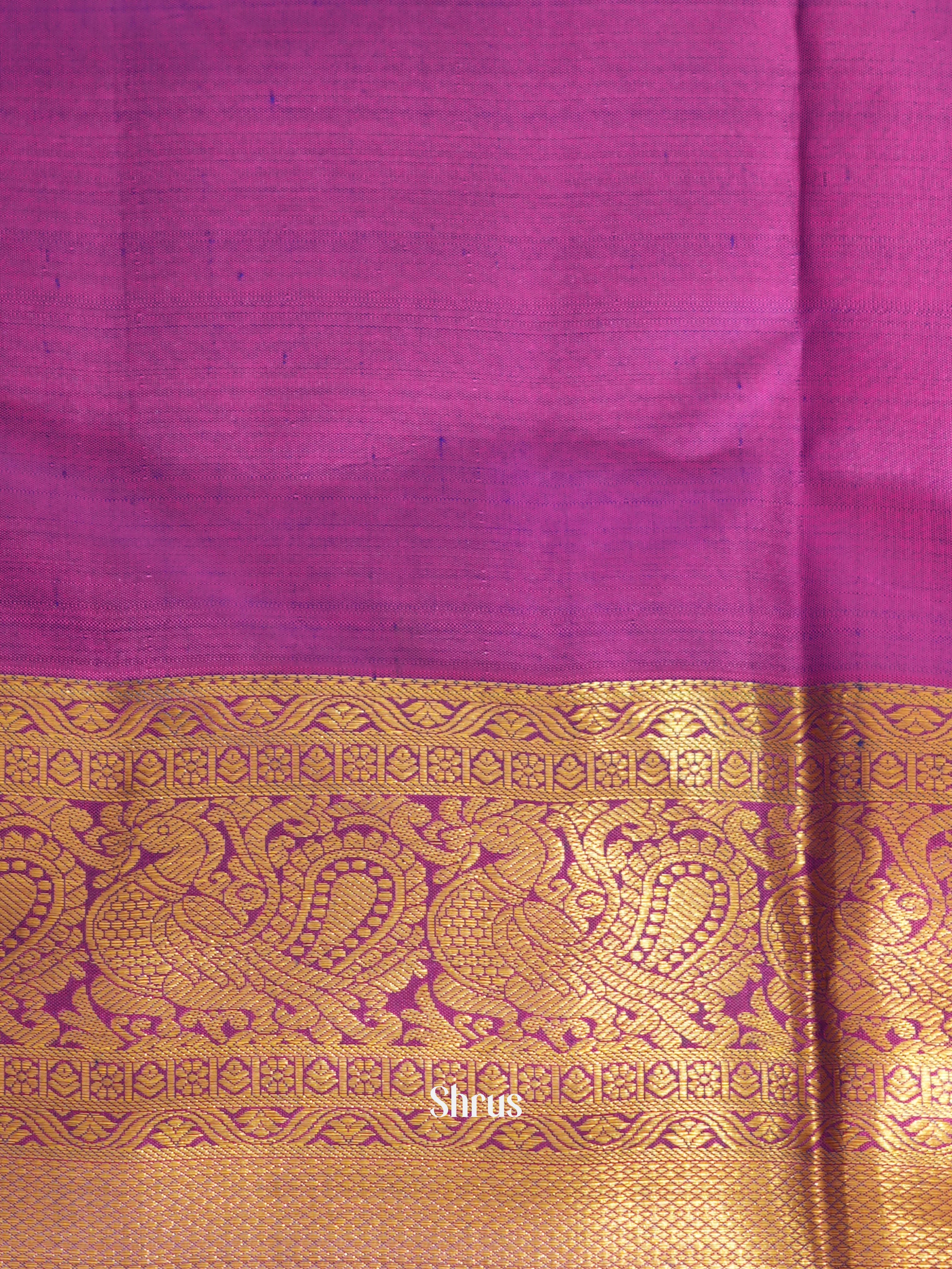 Blue & Purple - Kanchipuram silk saree