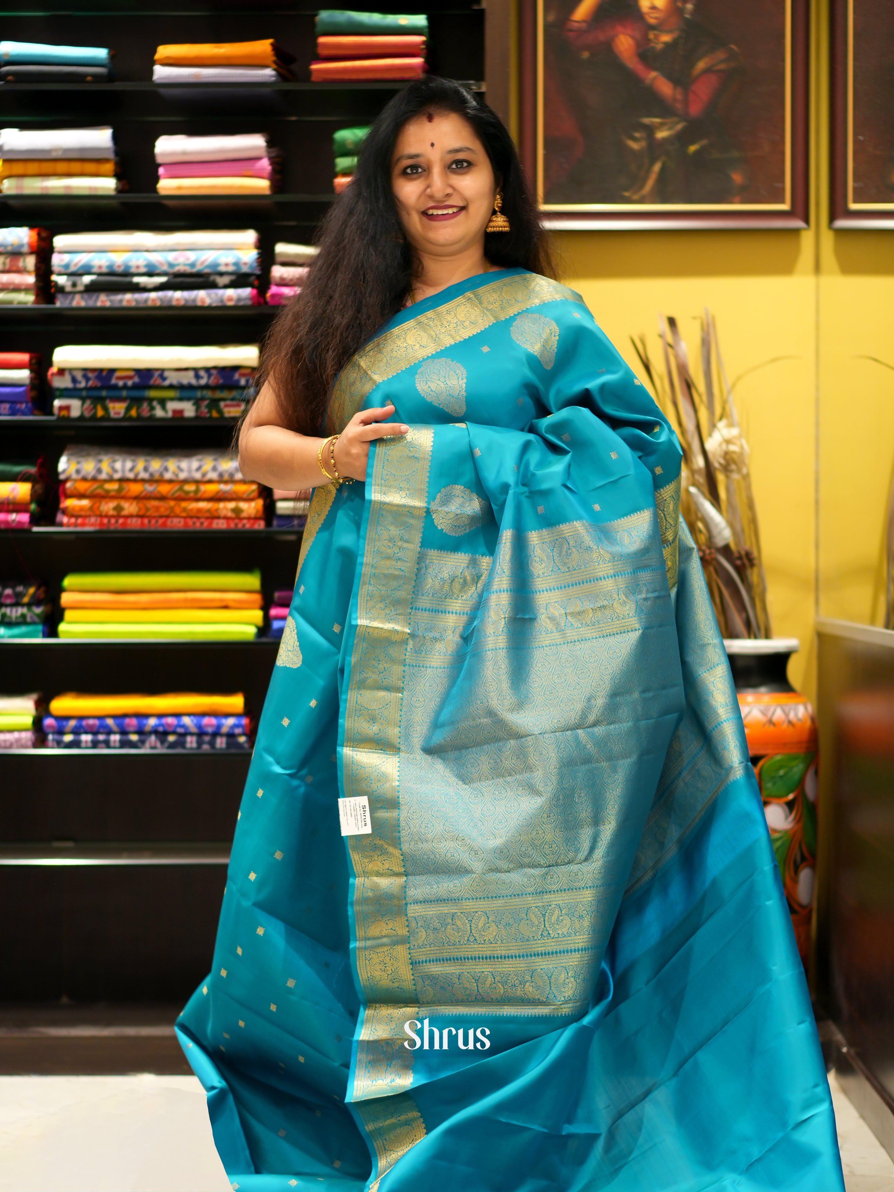 Blue(Single Tone) - Kanchipuram silk saree