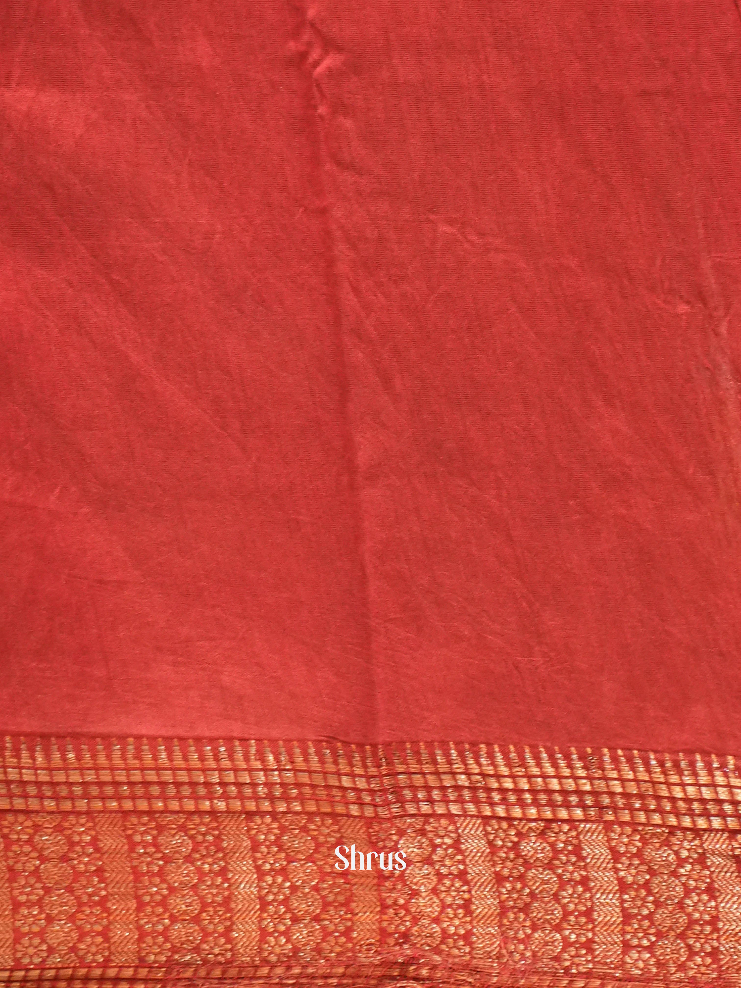 Black & Red  - Art Modal Saree