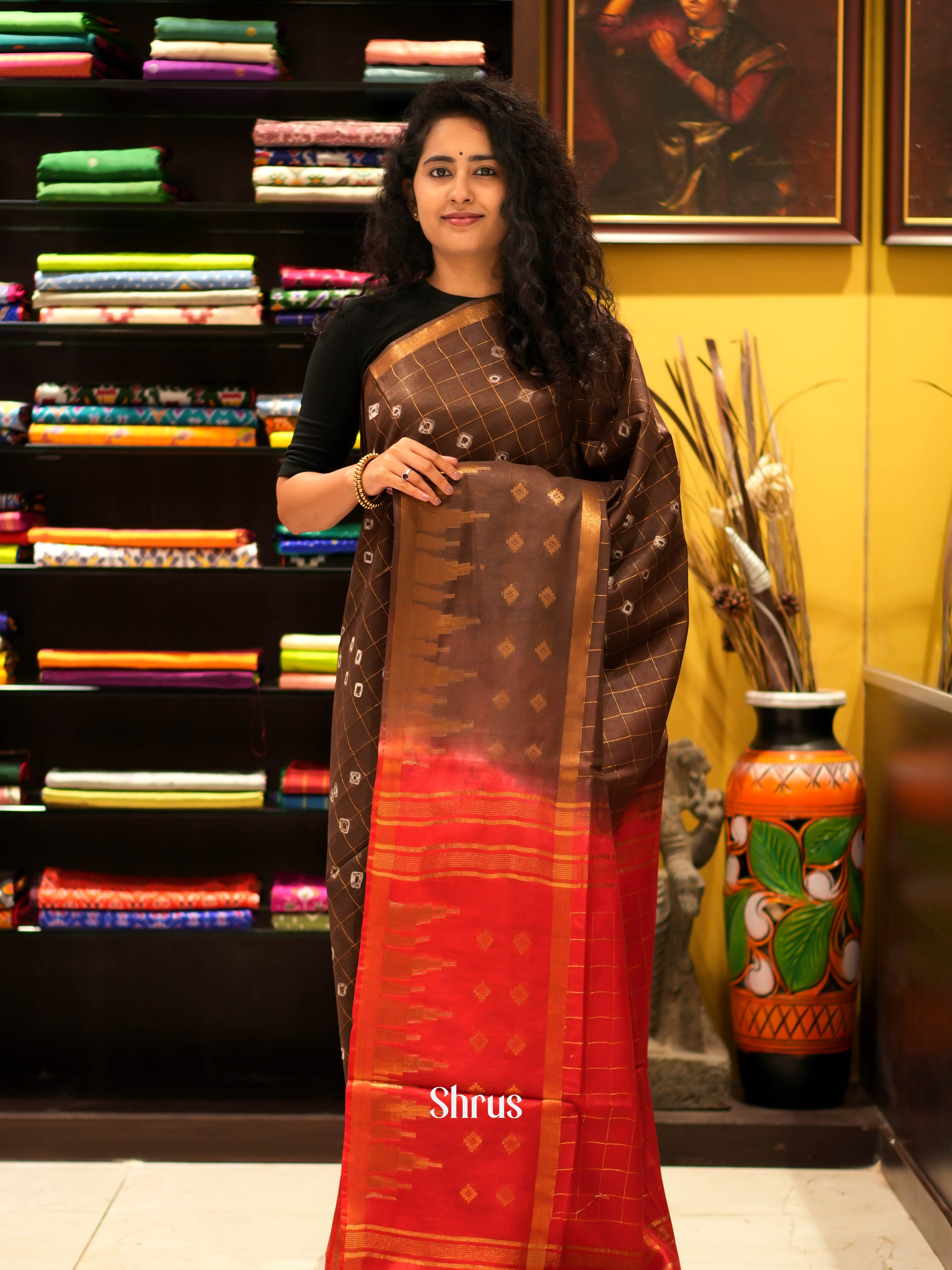 Brown & Red- Shibori Saree