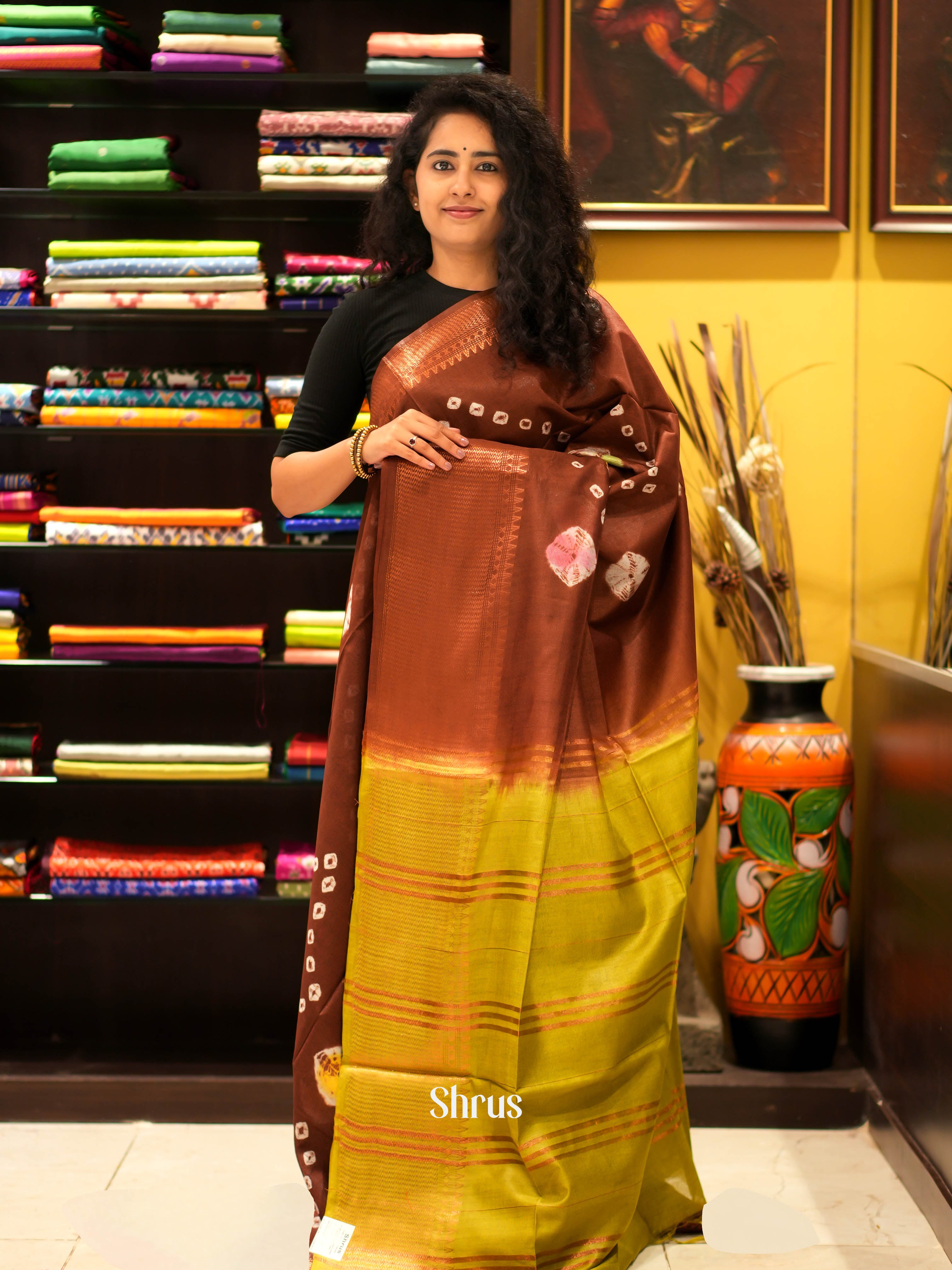 Brown & Green - Shibori Saree