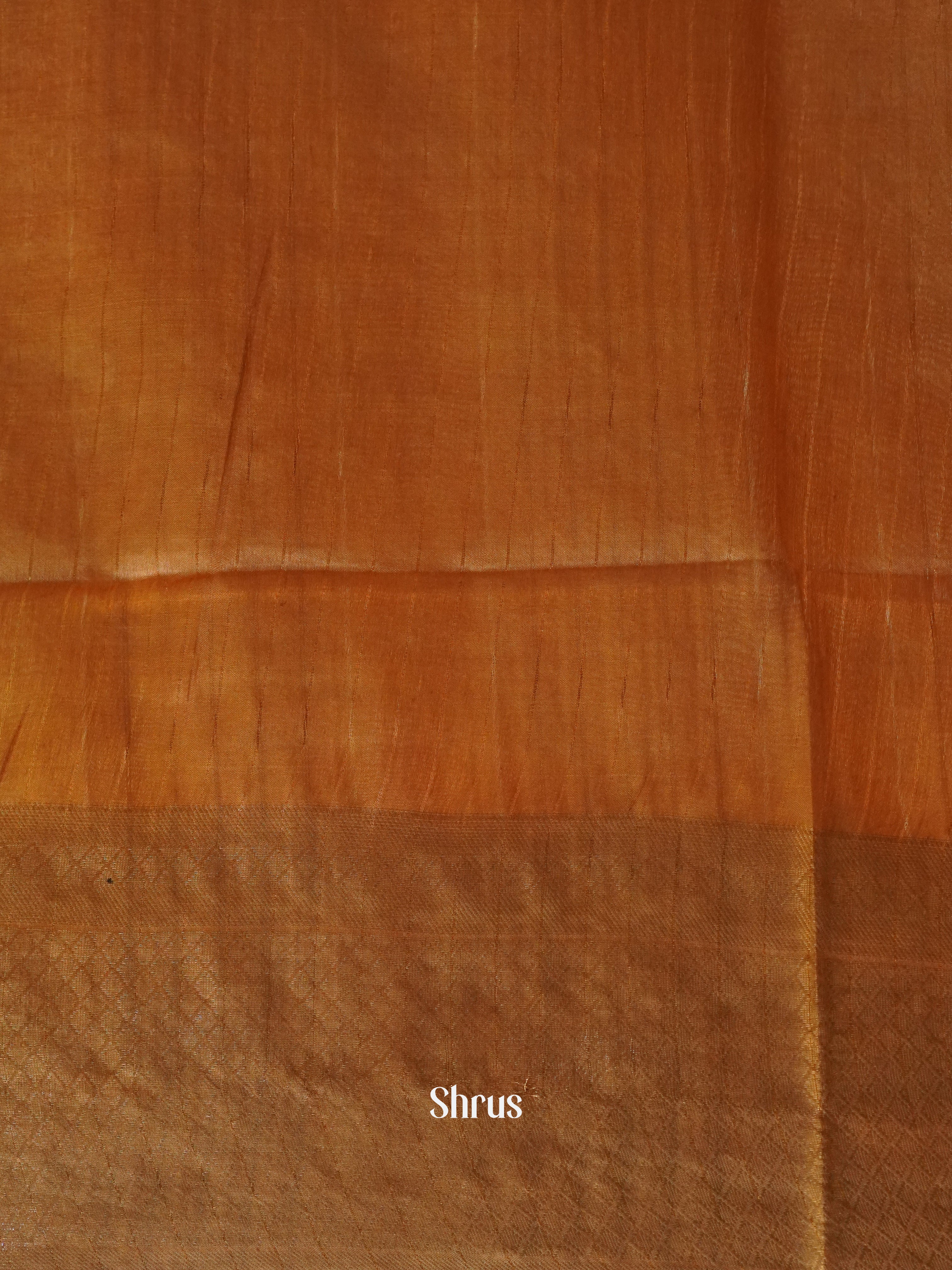 CGS31181 - Shibori Saree