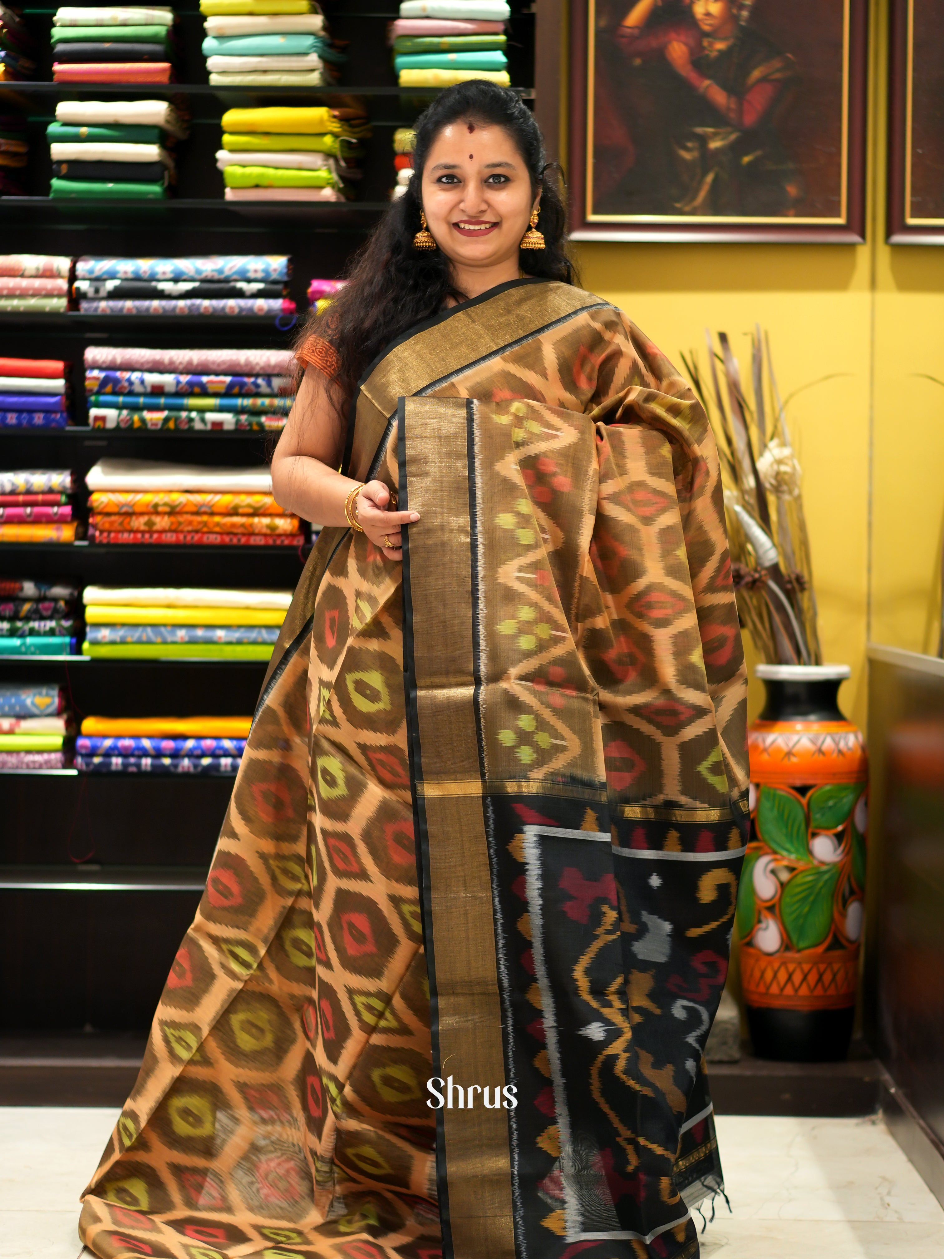 Beige & Black - Pochampally sico saree