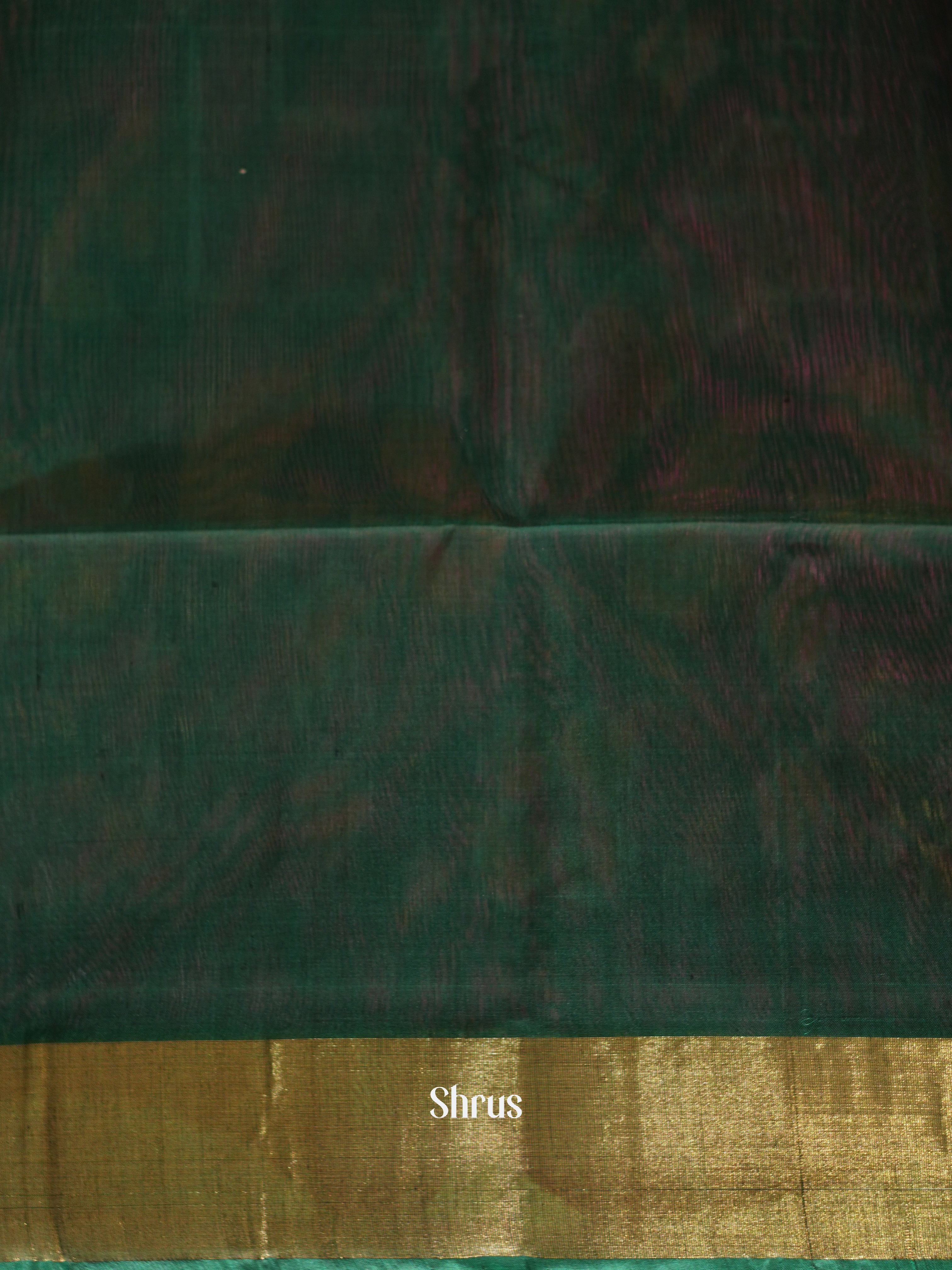 Purple & Green - Pochampally sico saree