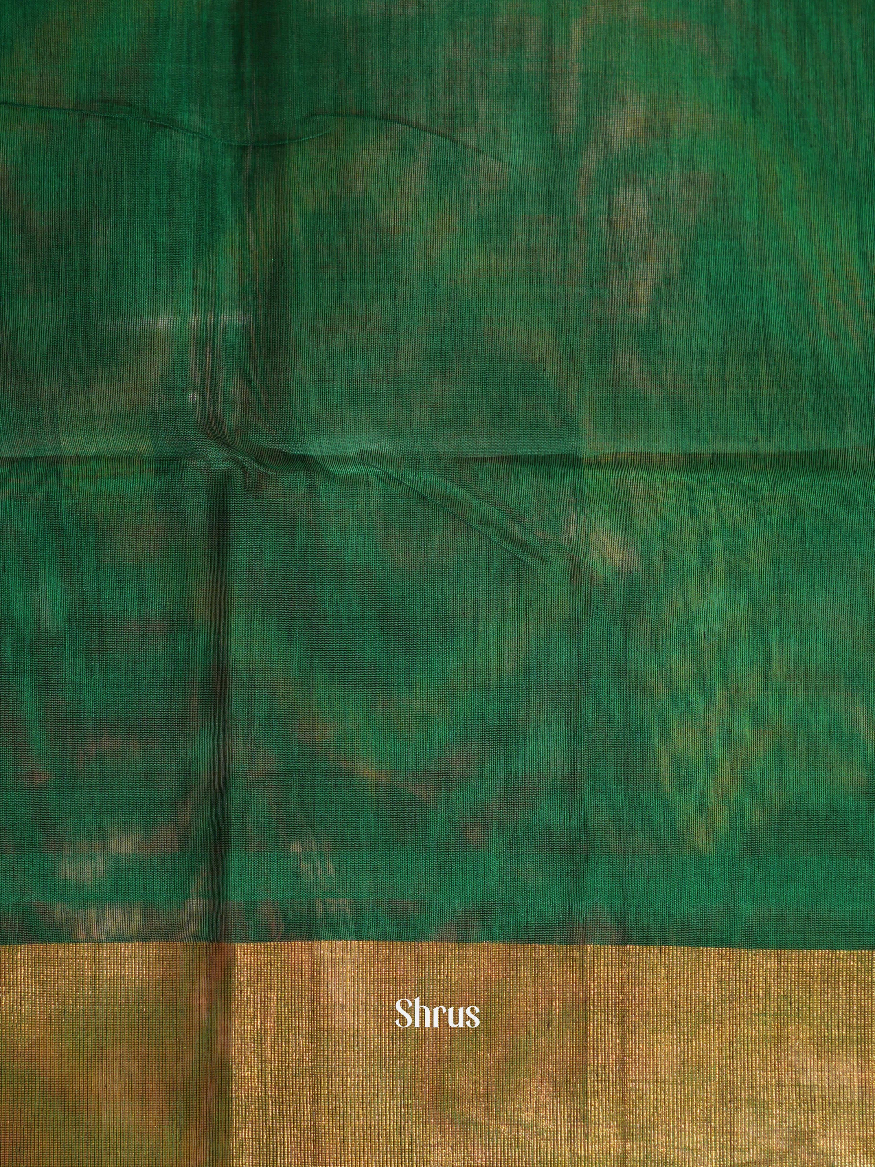 Violet & Green - Pochampally sico saree