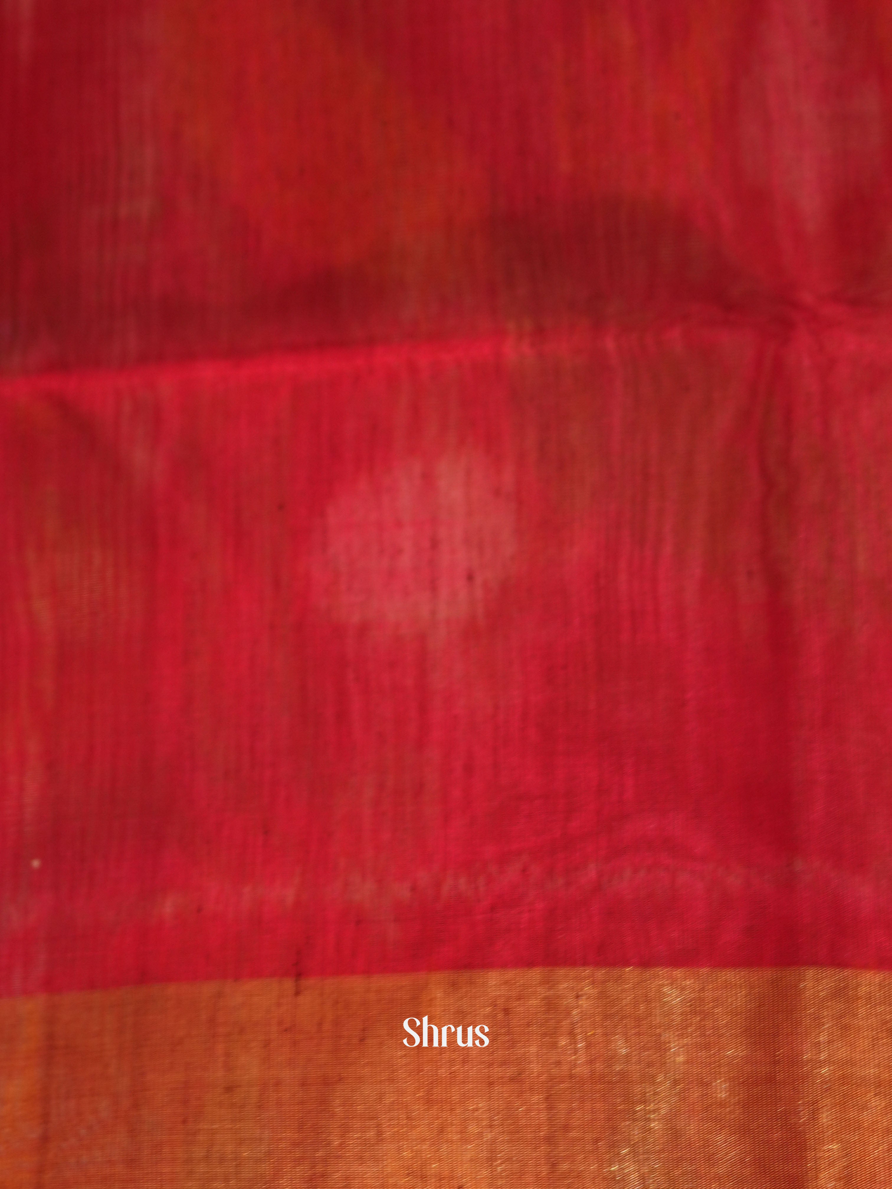 Green & Red - Pochampally sico saree