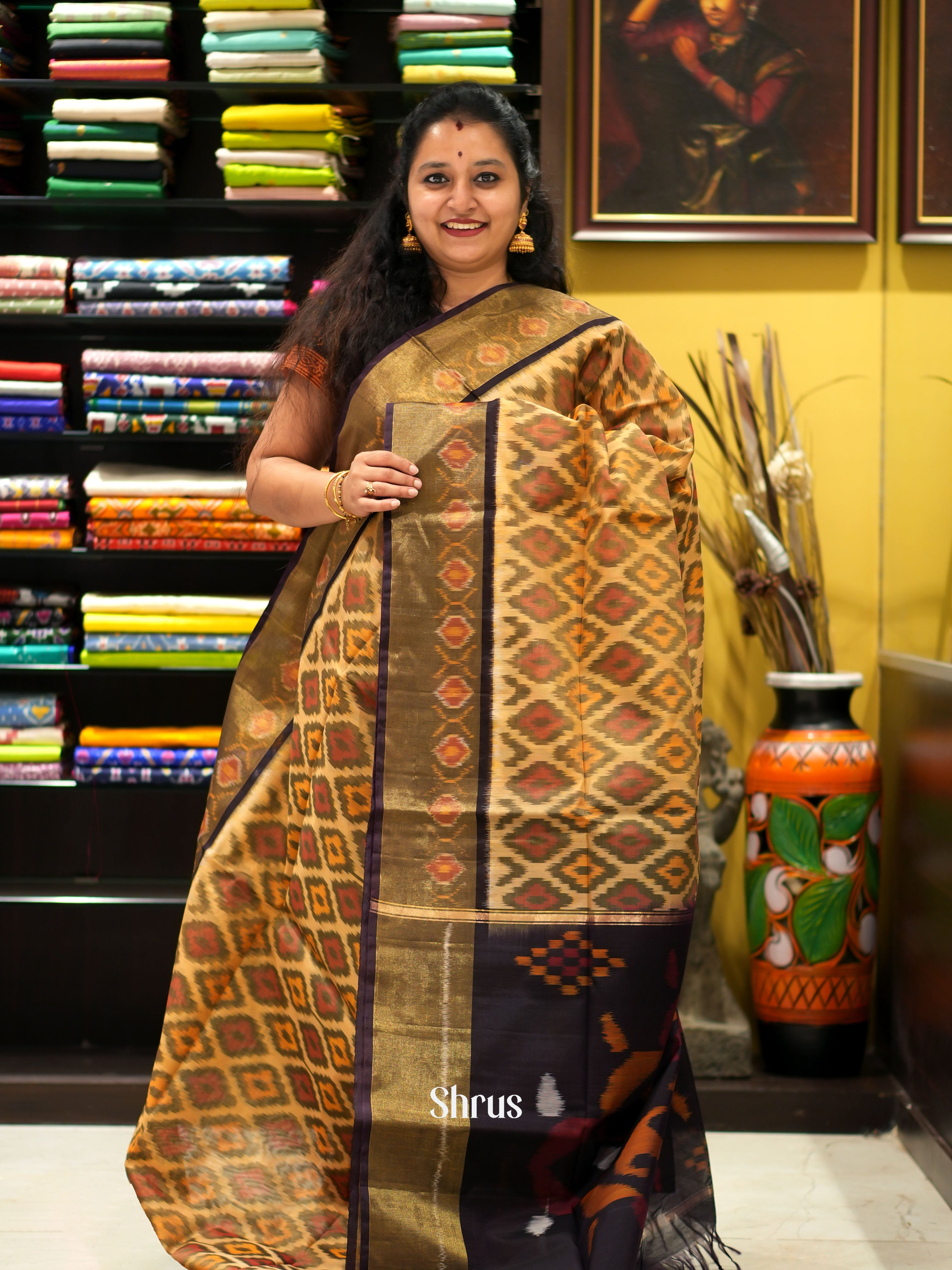 Beige & Brown- Pochampally sico saree