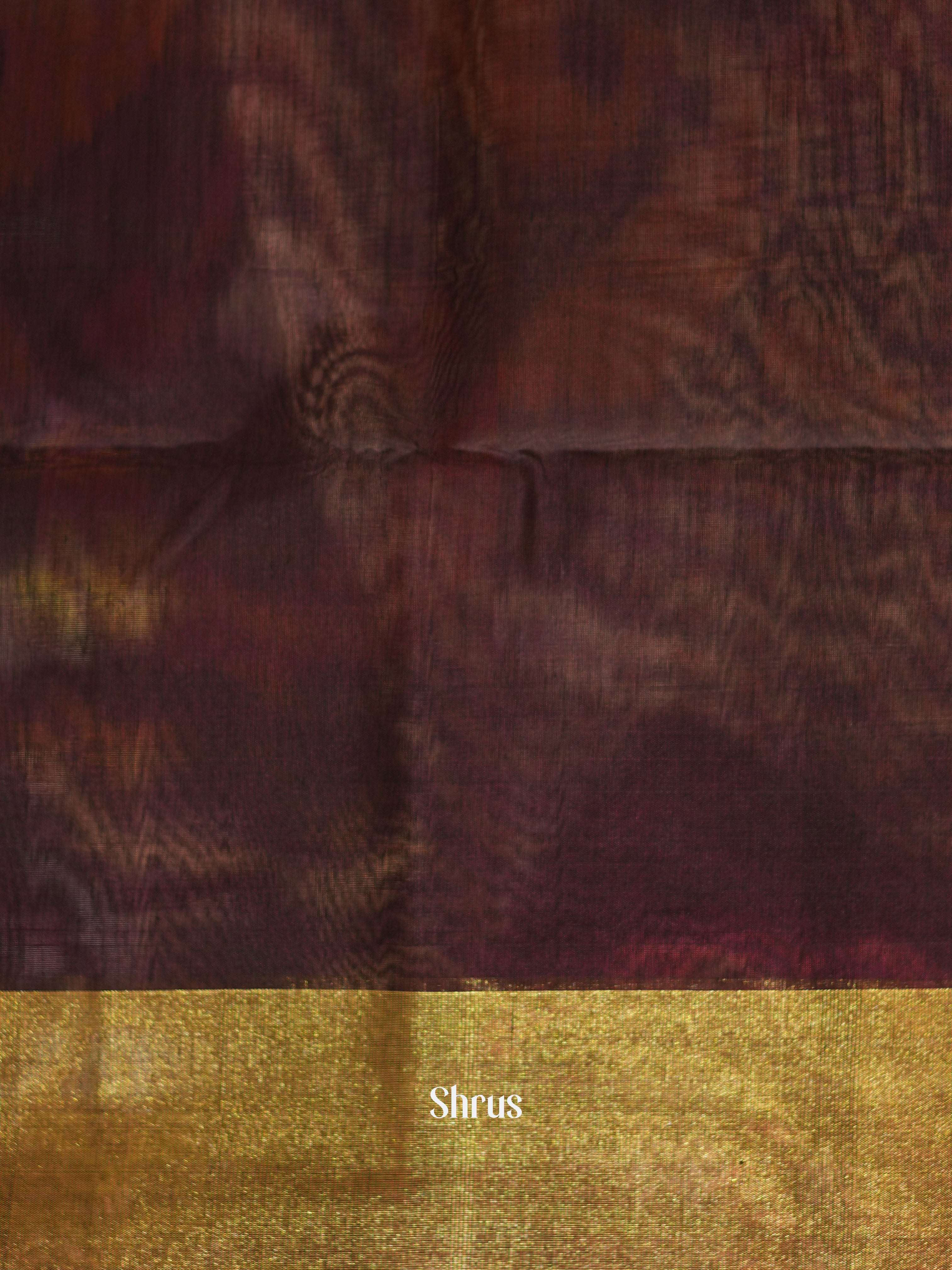 Beige & Brown- Pochampally sico saree