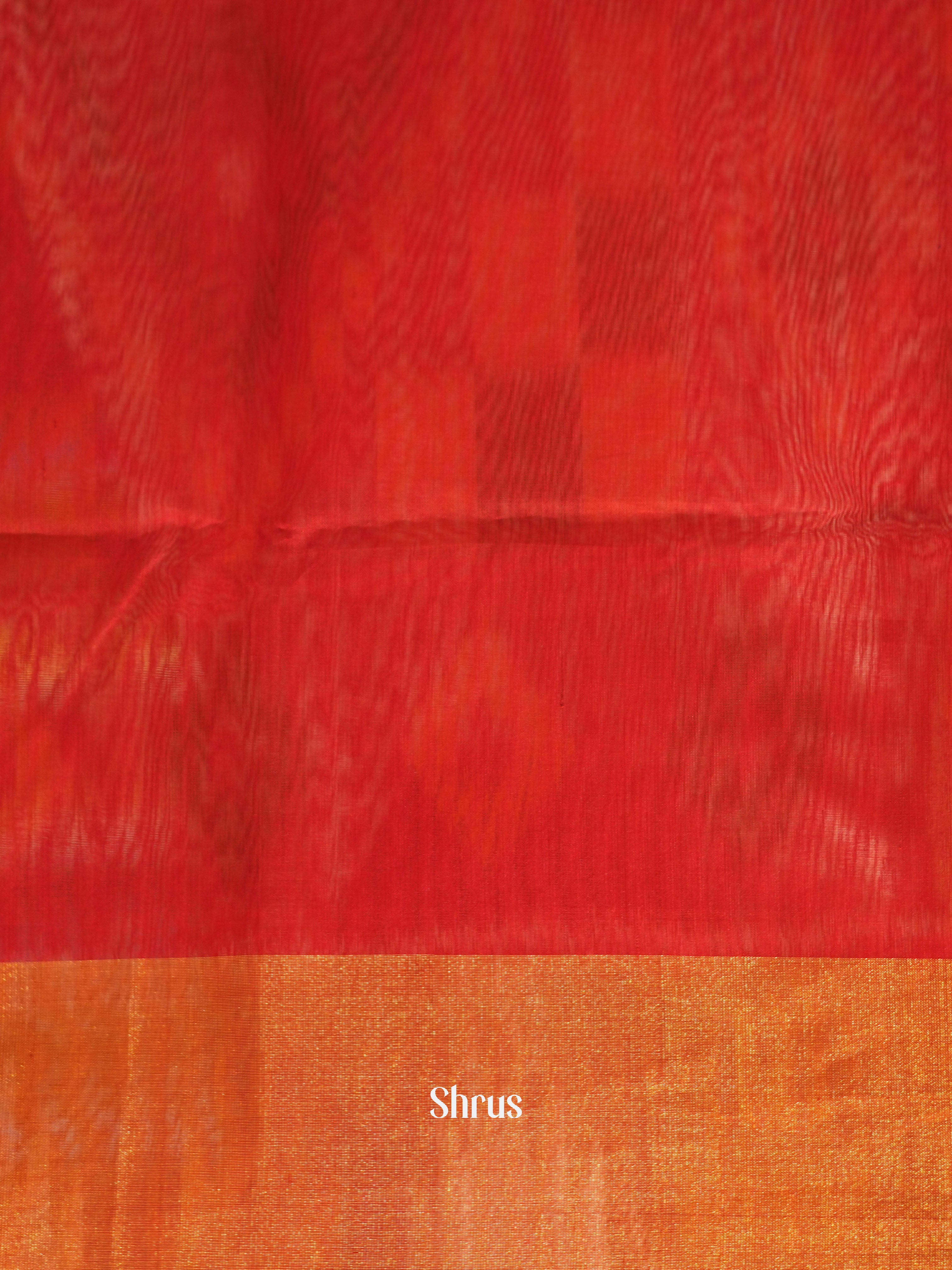 Violet & Red - Pochampally sico saree