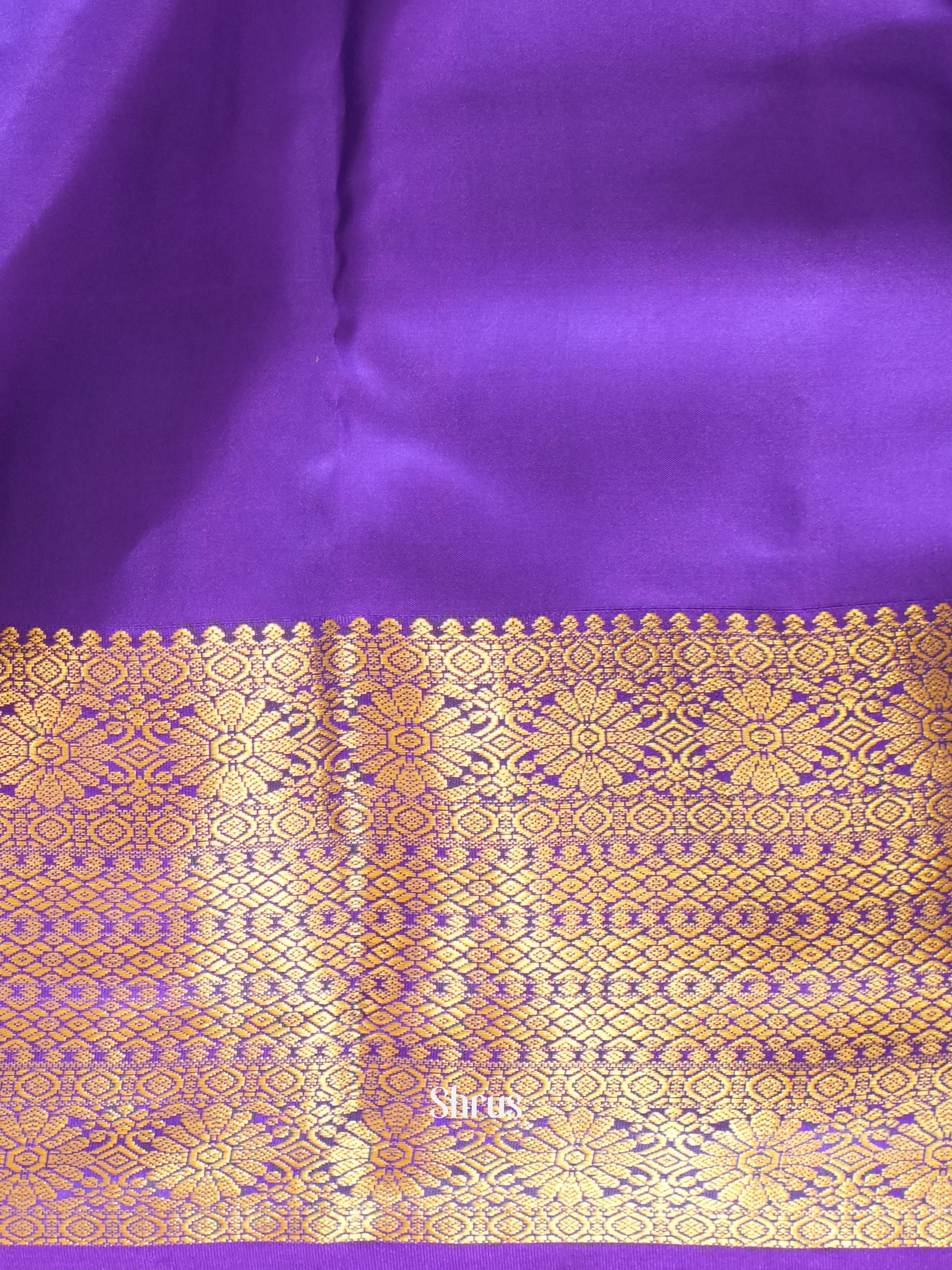 Pastel Blue & Purple - Kanchipuram silk Saree