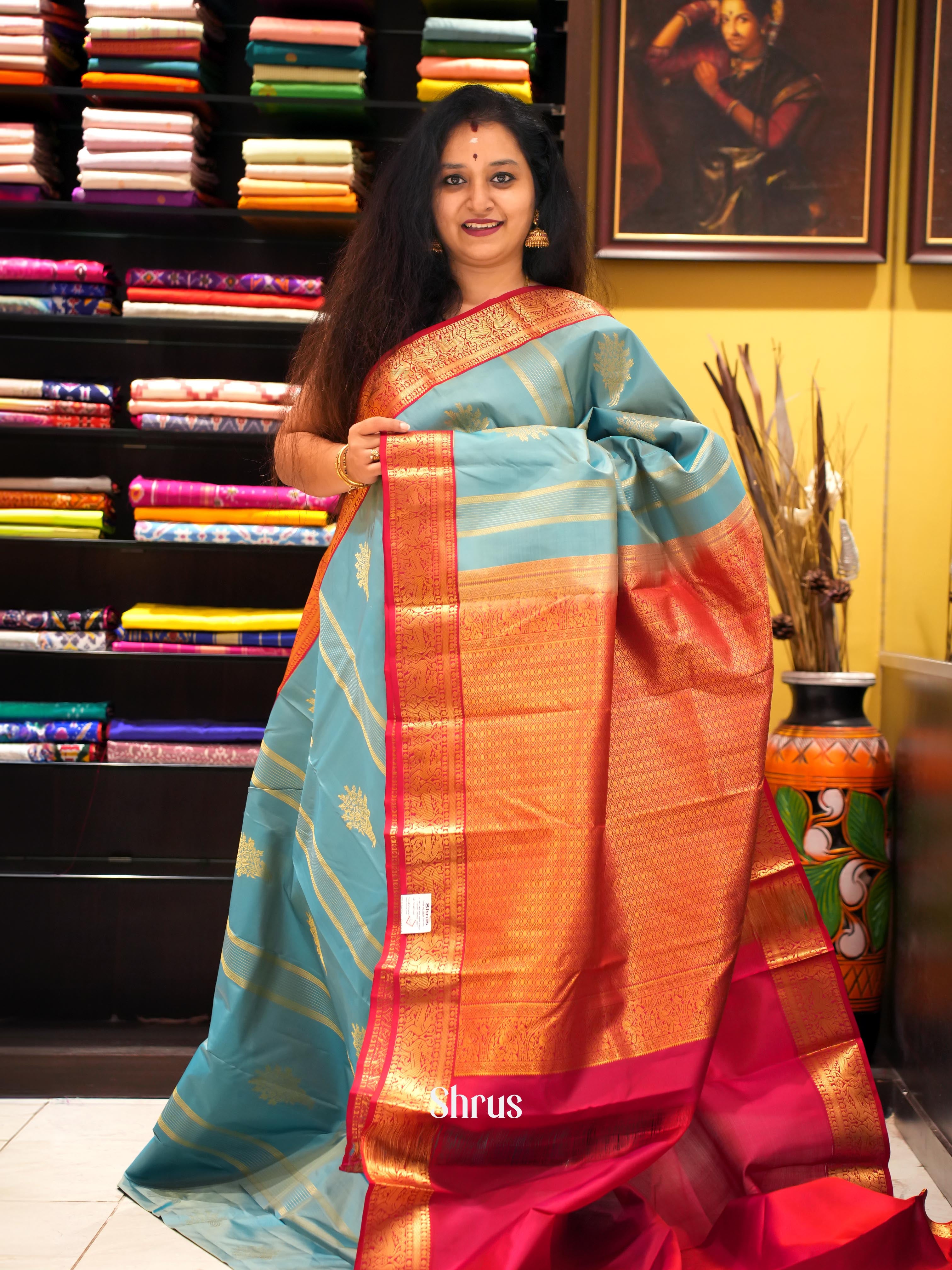 Pastel Blue & Maroon - Kanchipuram silk Saree