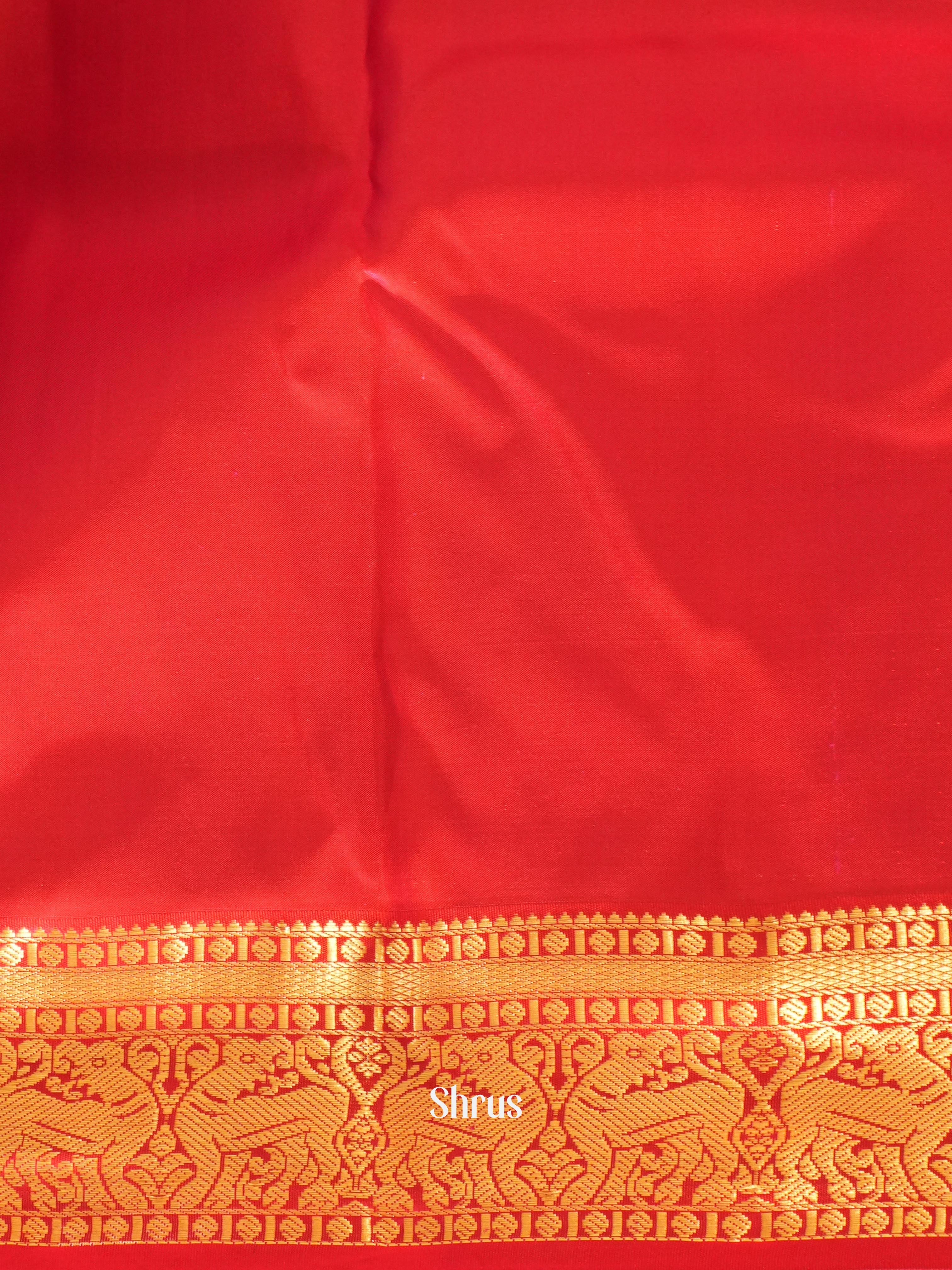 Pastel Blue & Maroon - Kanchipuram silk Saree