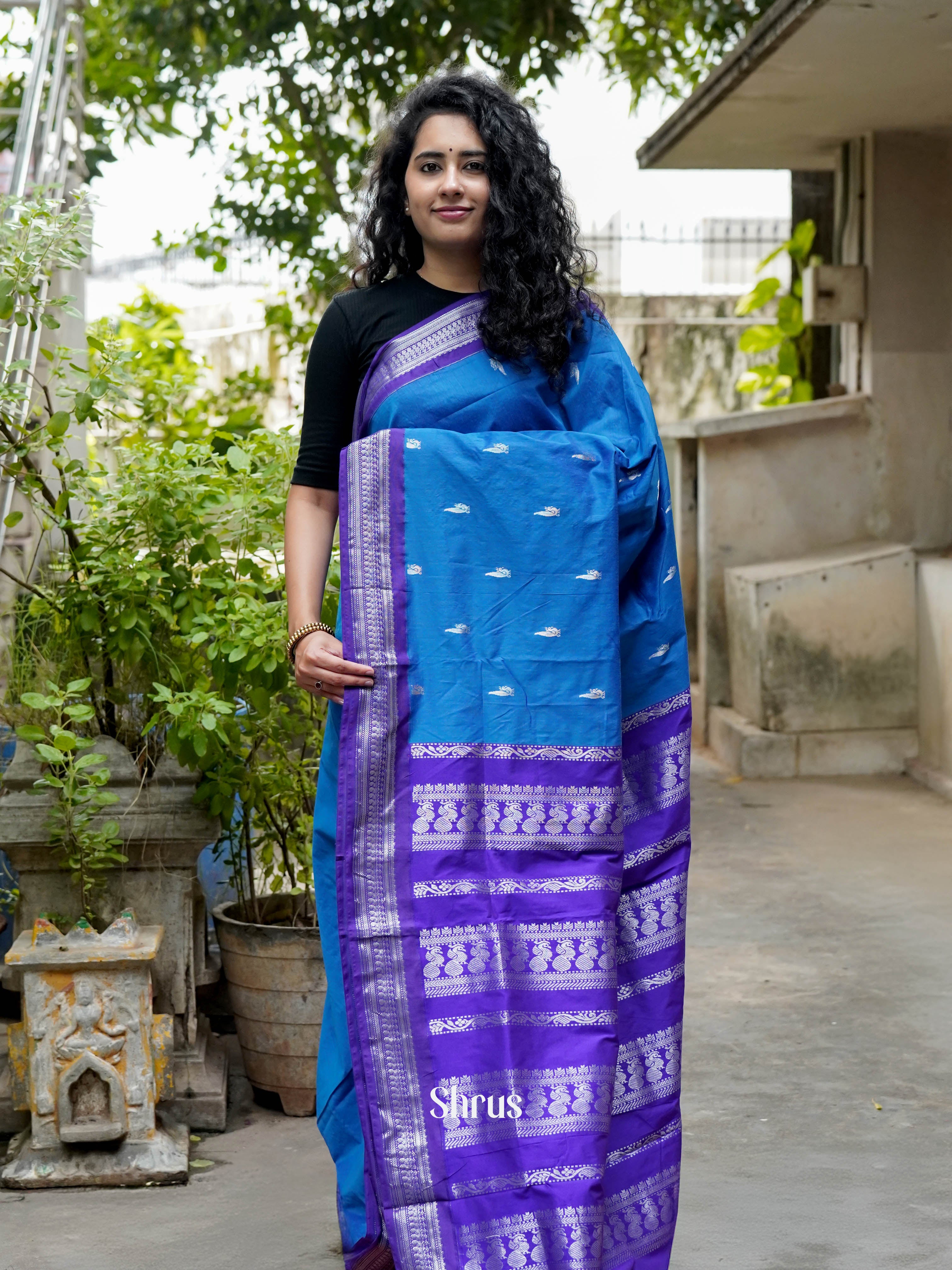 Blue & Purple - Kalyani Cotton Saree