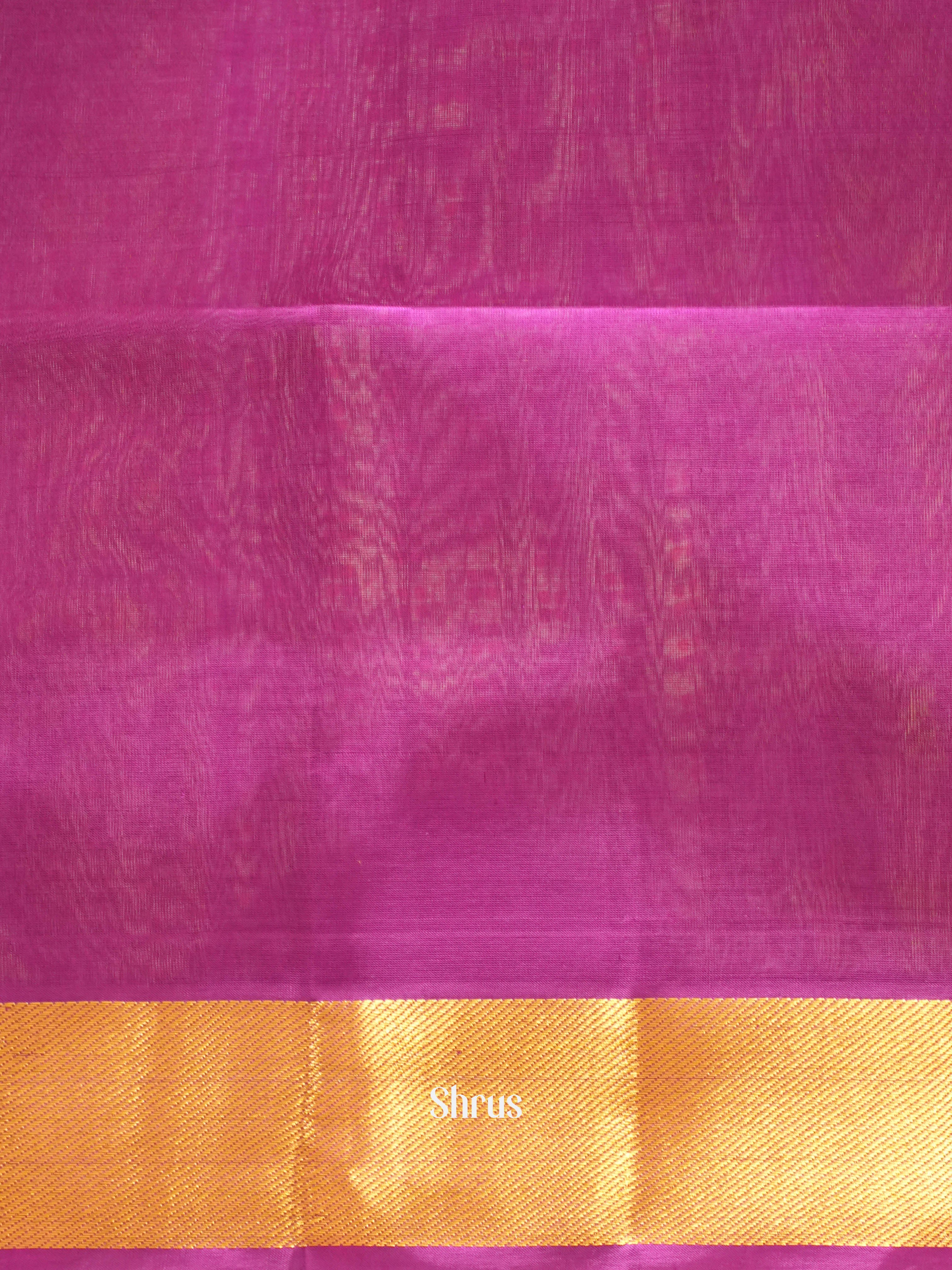 Yellow & Purple - Silk Cotton Saree