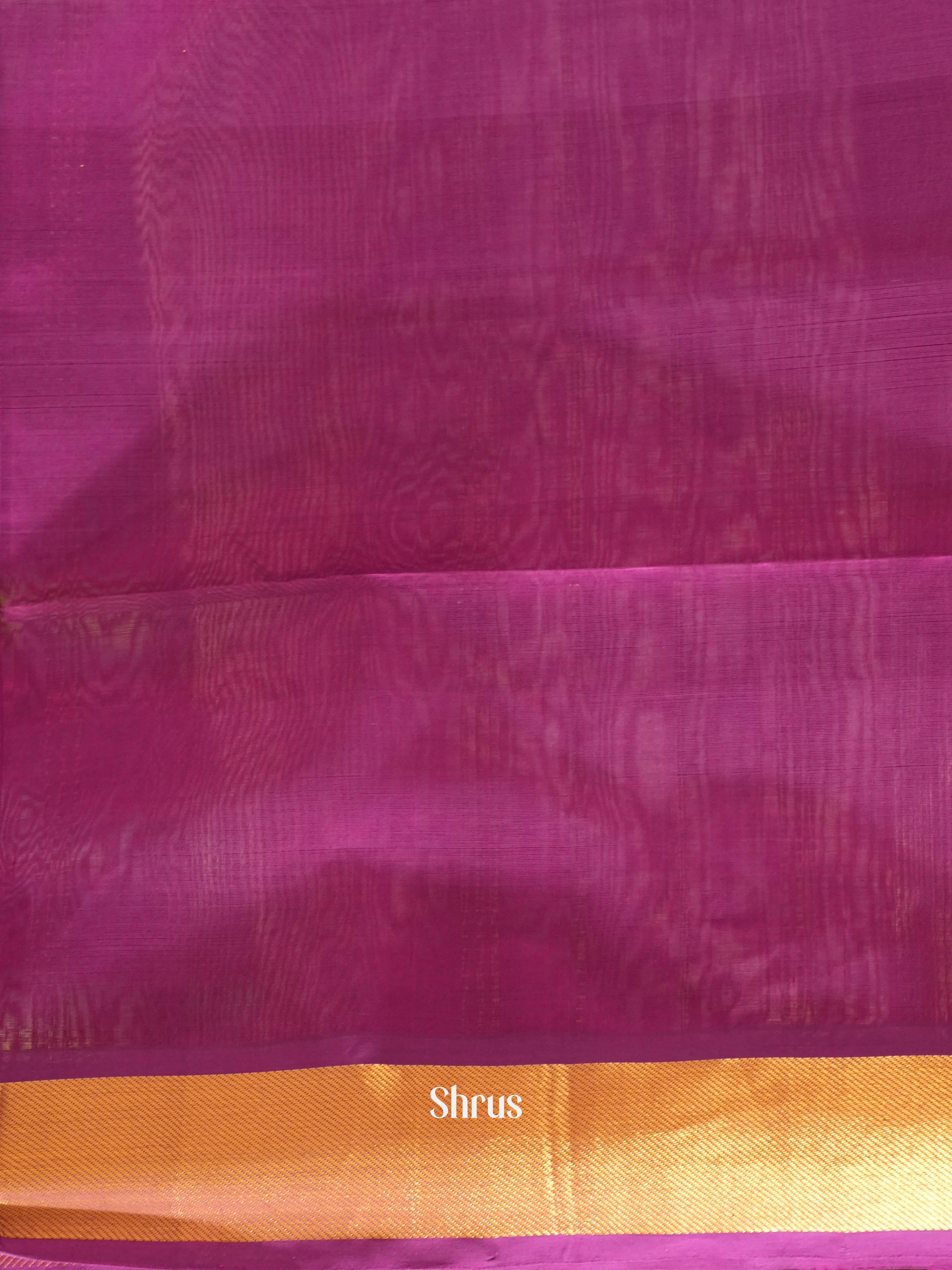 Beige & Purple - Silk Cotton Saree