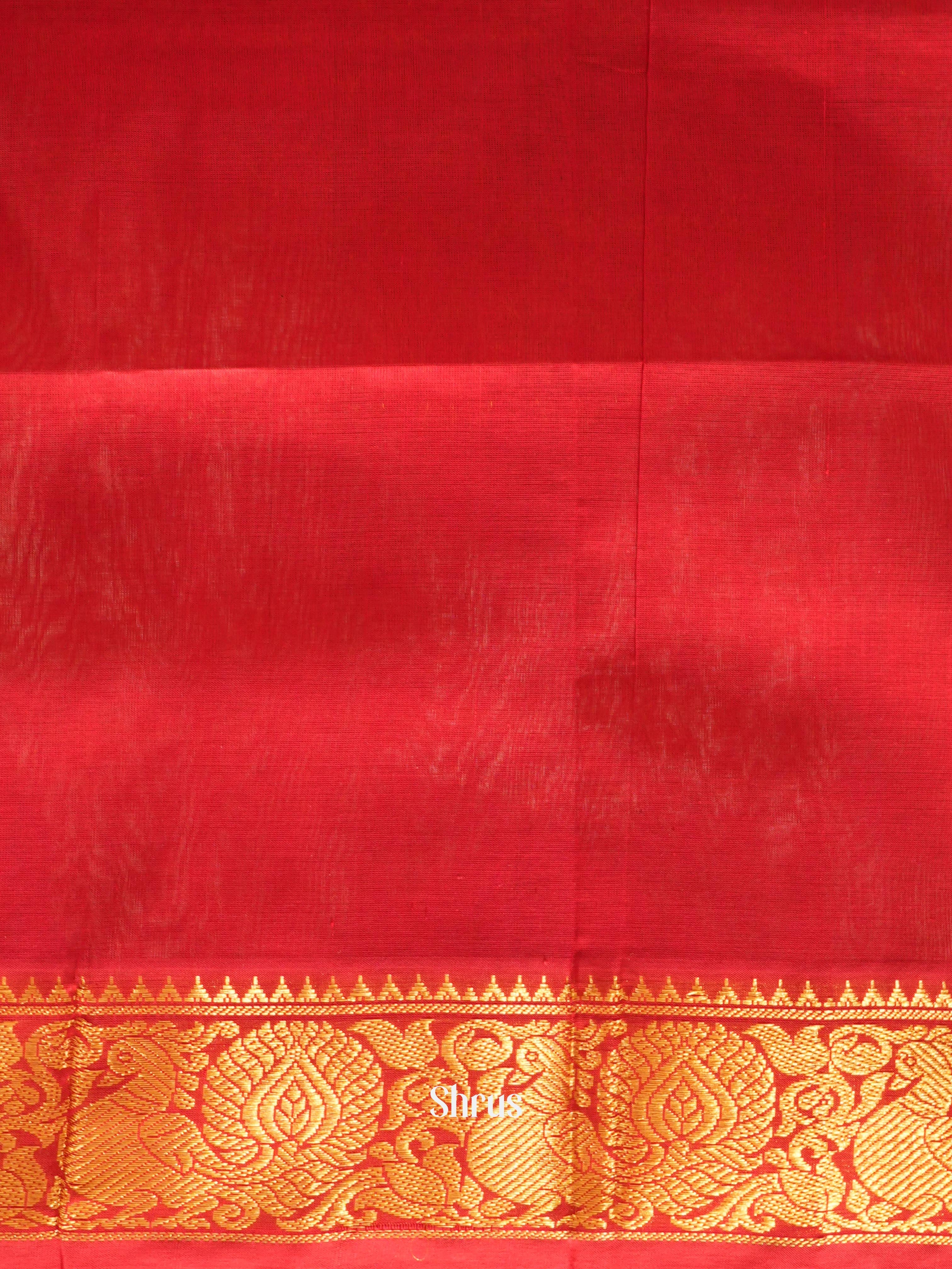 Blue & Red - Silk Cotton Saree