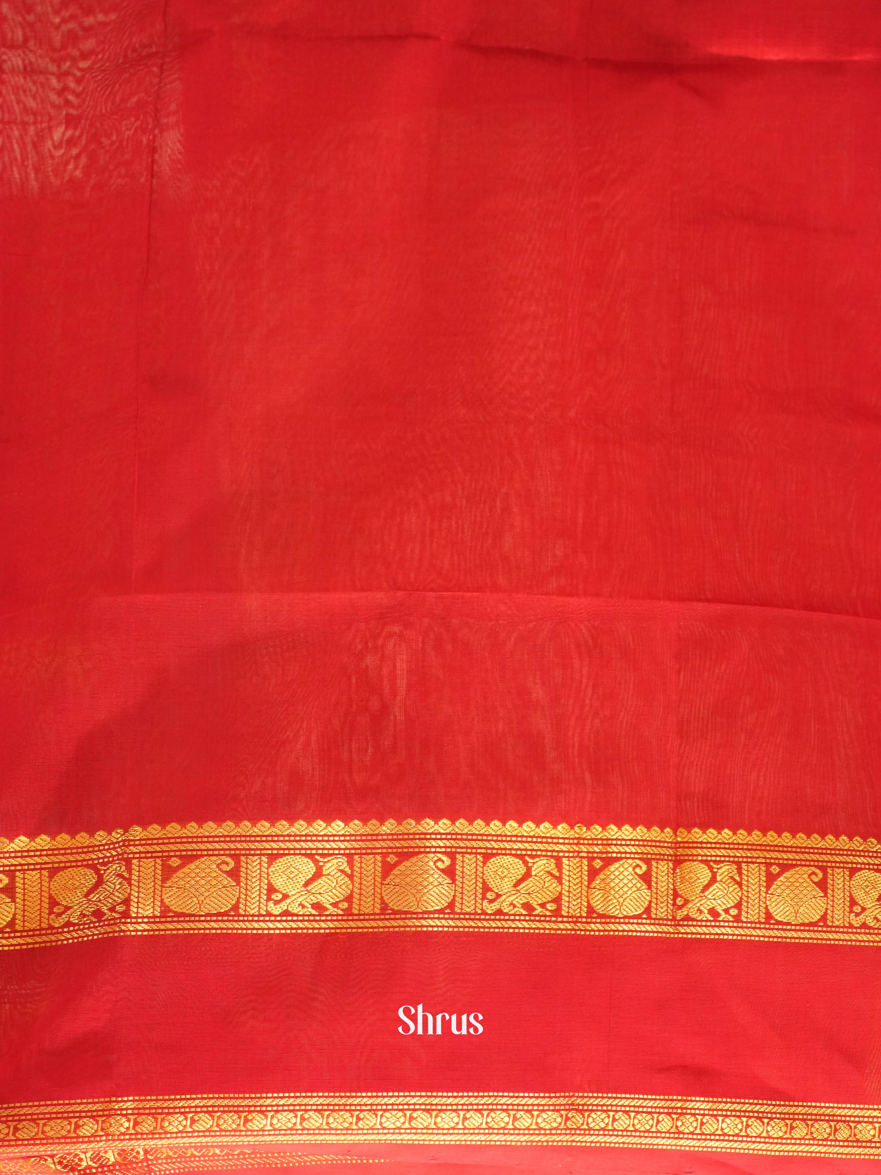 Blue & Red - Silk Cotton Saree