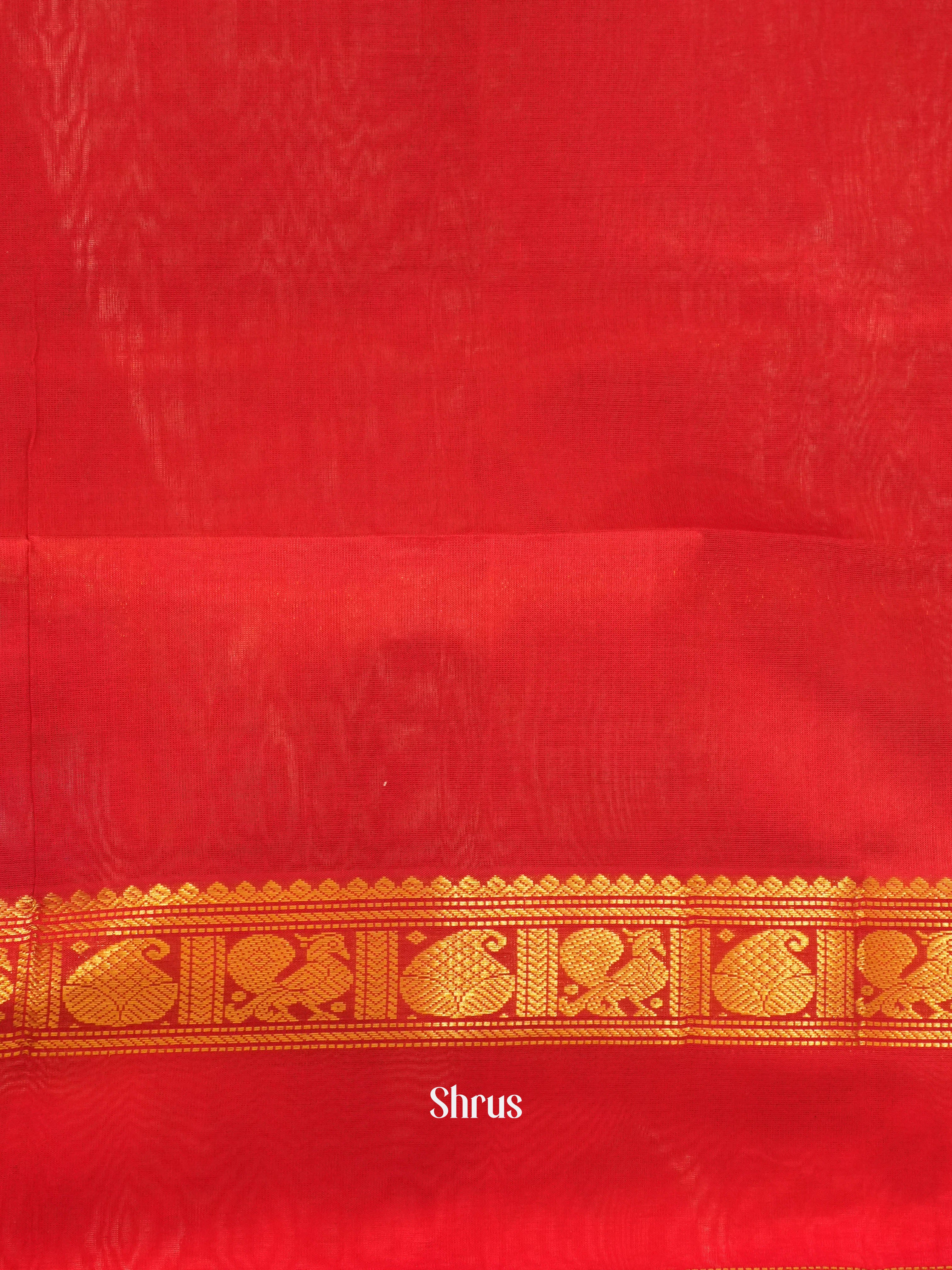 Blue & Red - Silk Cotton Saree