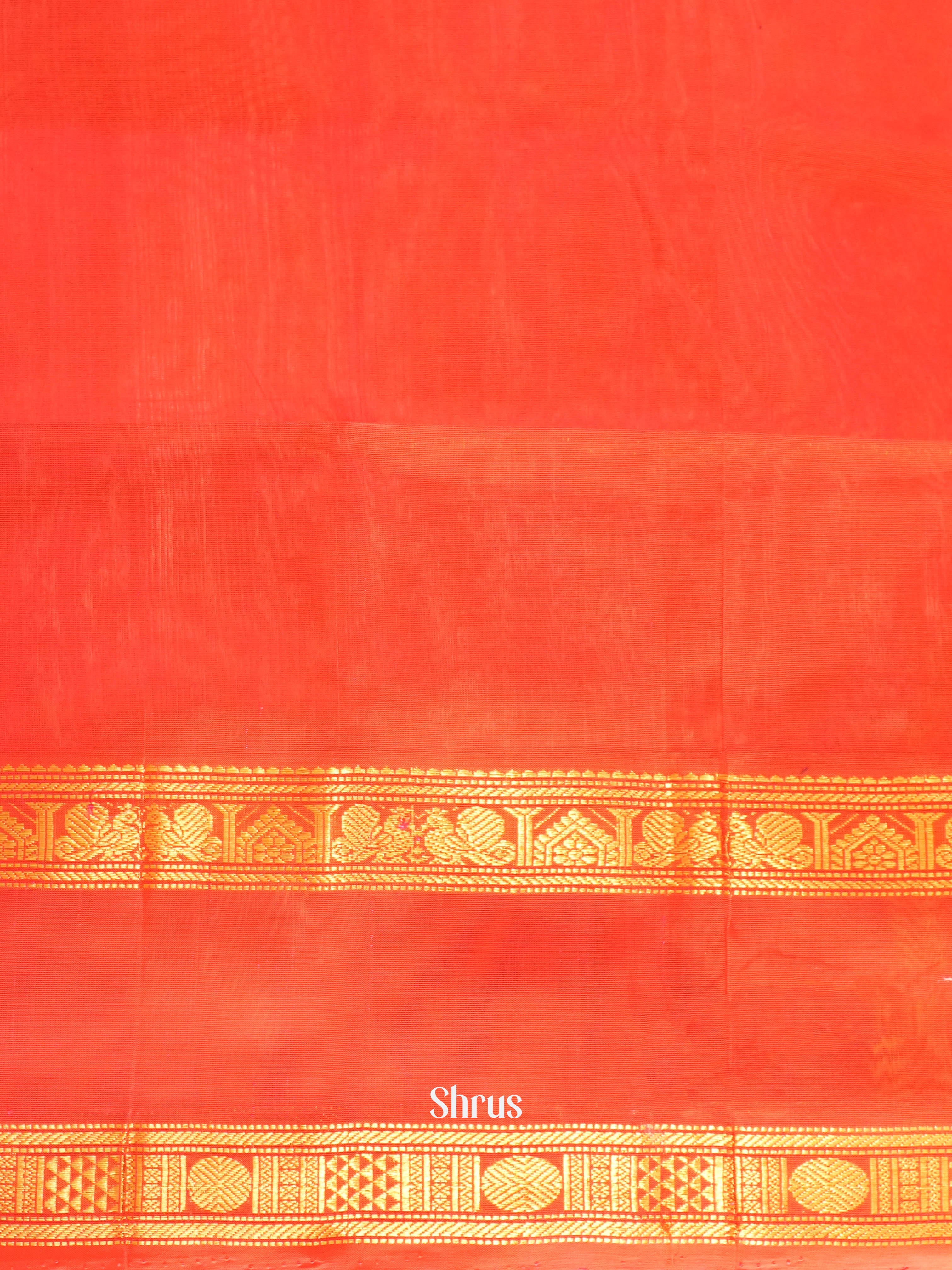 Blue & Orangish Pink  - Silk Cotton Saree