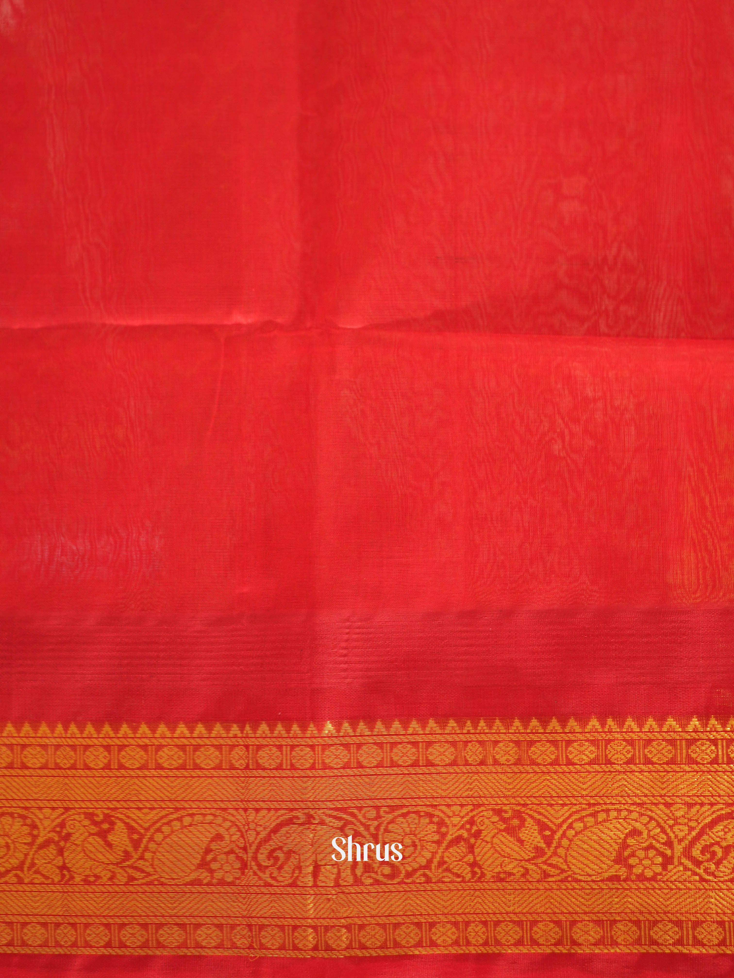 Green & Red - Silk Cotton Saree